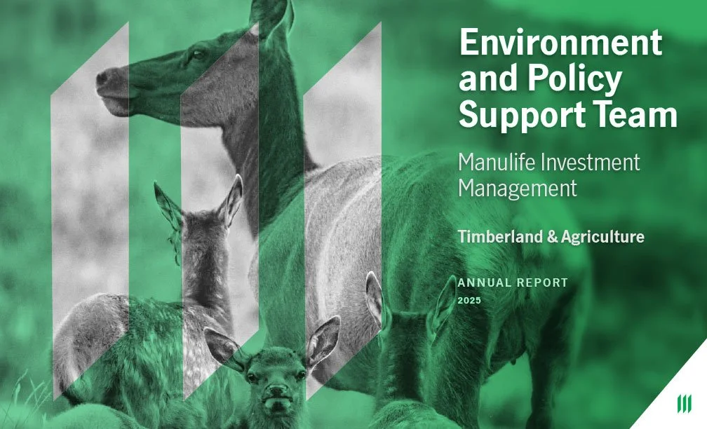 Manulife_EPST_Annual-Report_2025_6-1.jpg