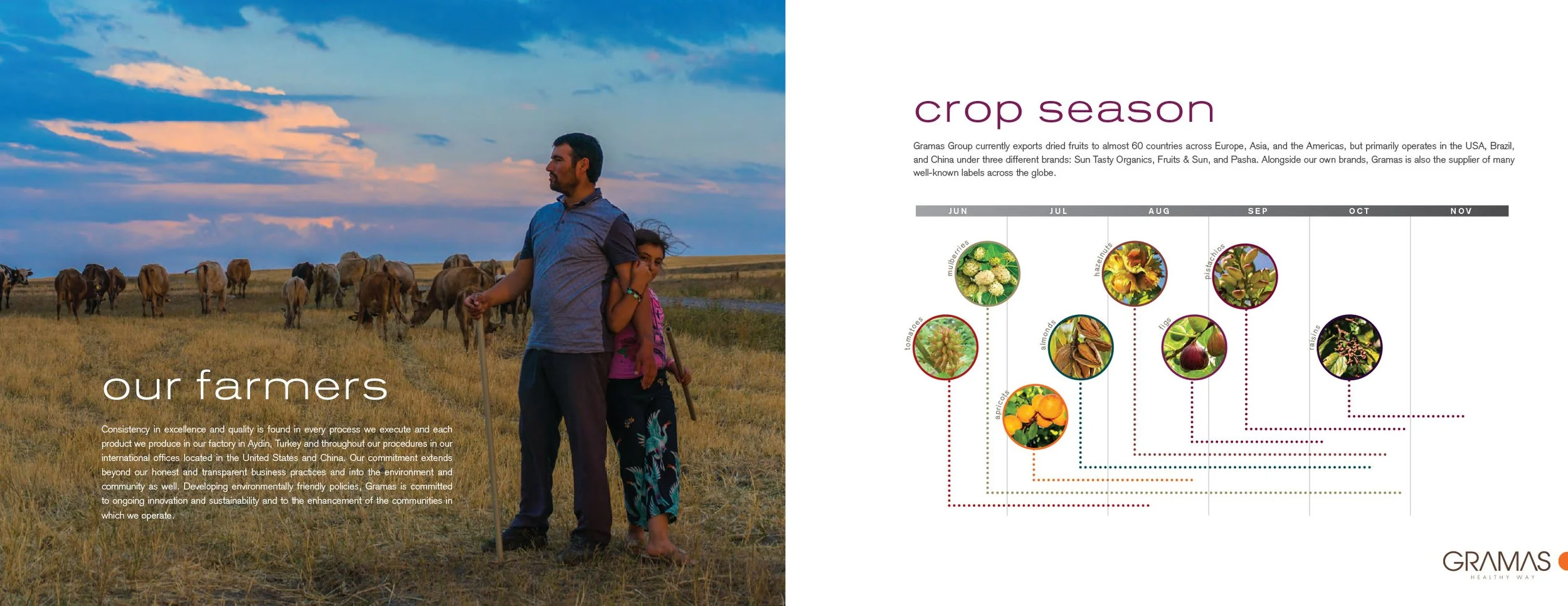 Gramas_CATALOG_2-5.jpg