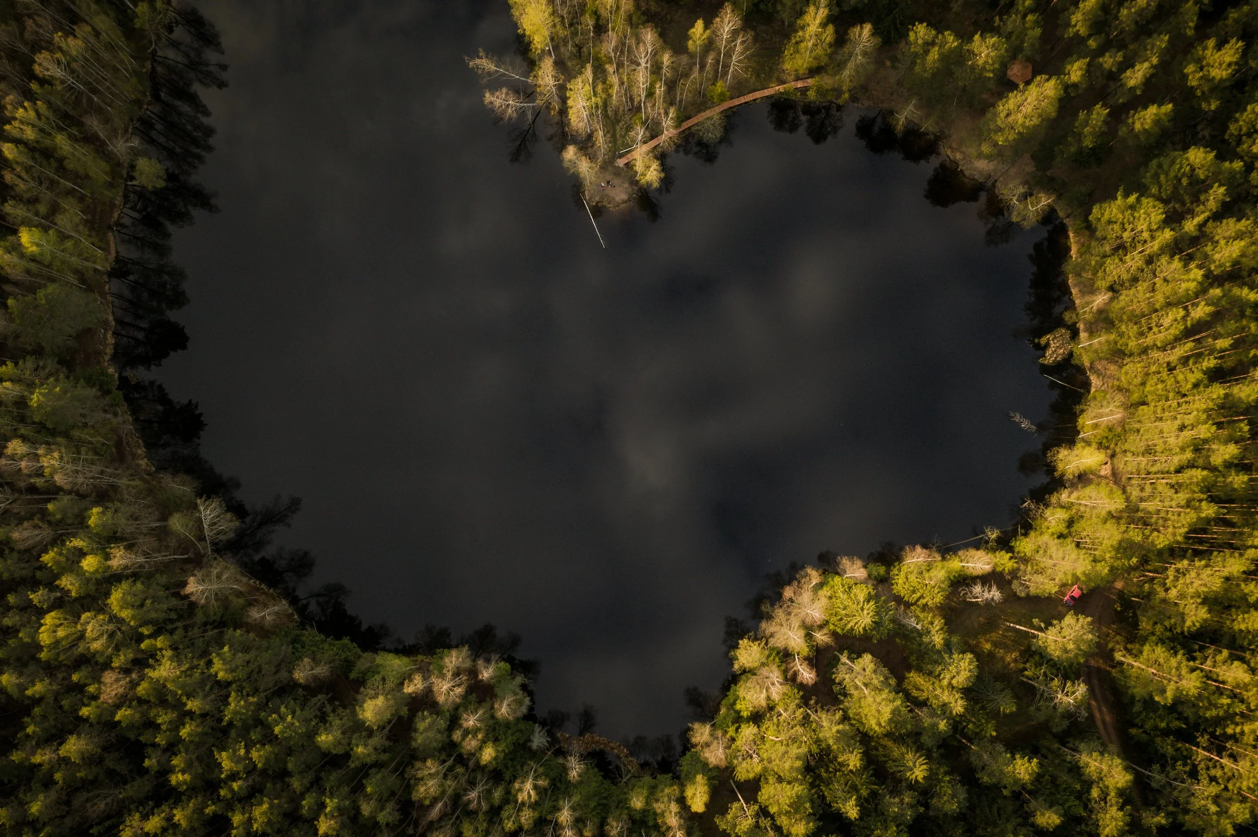 Exploring the Synergy of IFS-Informed EMDR: A Holistic Approach to Healing