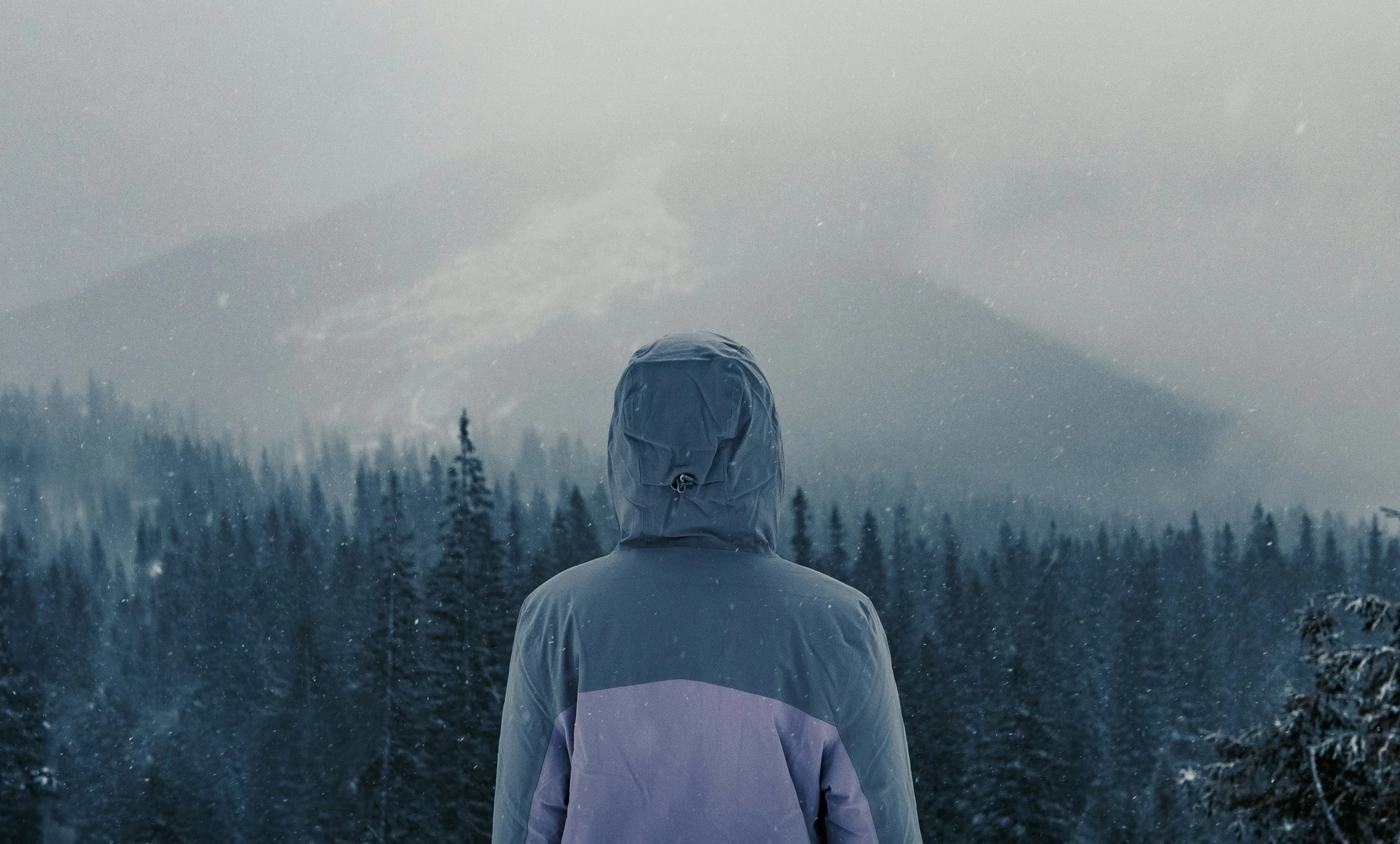 An image of a person from behind in a jacket in a winter forest to illustrate how nature can help mental healtheven in winter.