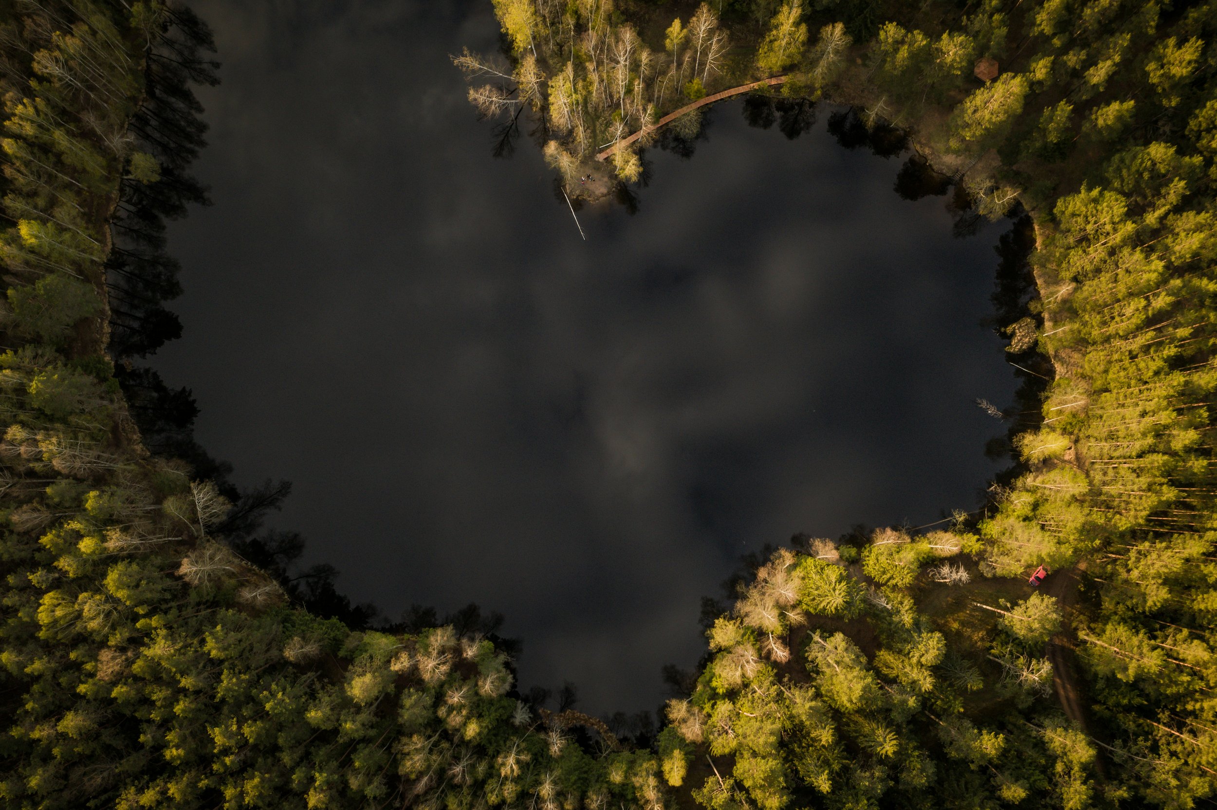 An aerial photograph of tress around a heart-shaped river to illustrate how IFS and EMDR combine in therapy.