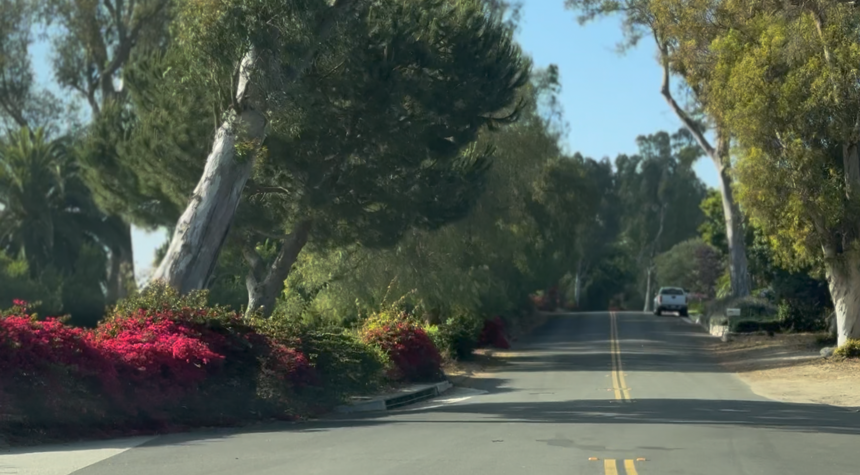 Paseo Del Campo in Valmonte Palos Verdes Estates