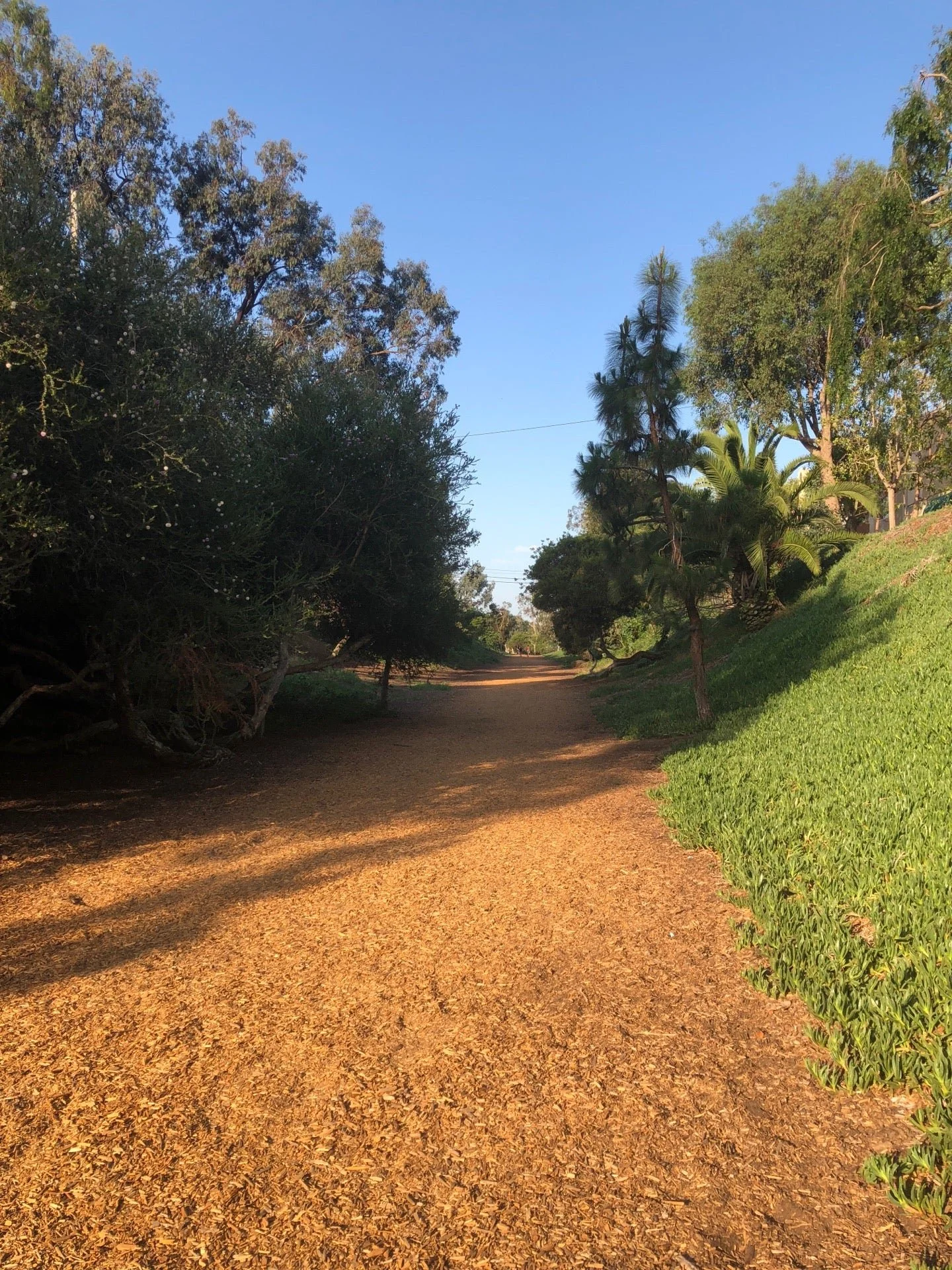 The Wood Chips Trail - Hermosa to Manhattan Beach