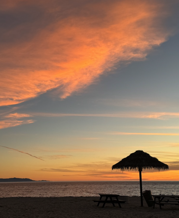 House the market? Scherb Homes Group - March 2026 