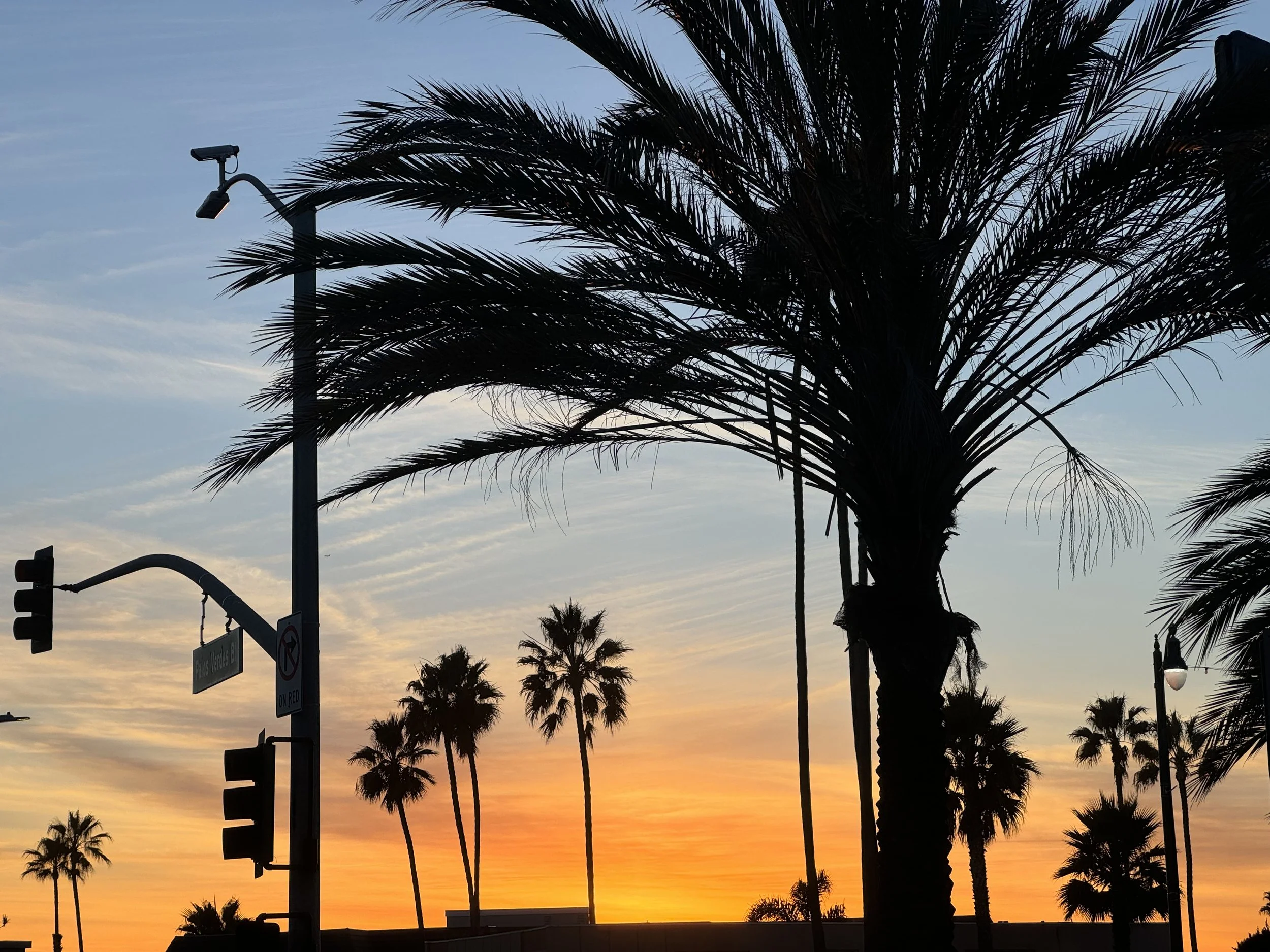 Living in the Hollywood Riviera: What Residents Love Most About This Coastal South Bay Community