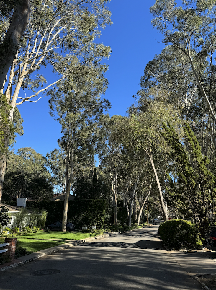 Via La Selva, Valmonte, Palos Verdes Estates: The Complete Street Guide