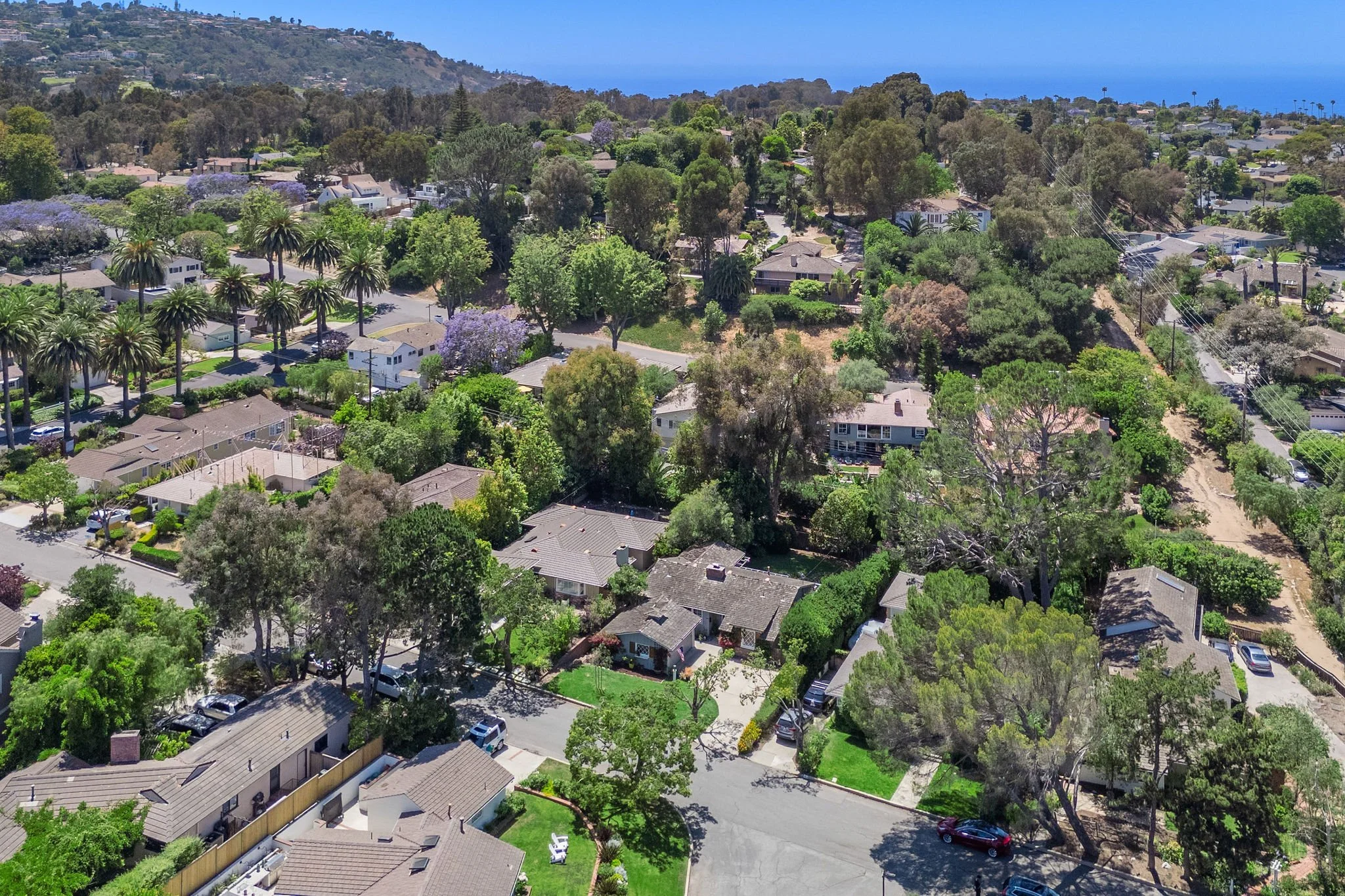 Via Ardilla Real Estate Guide