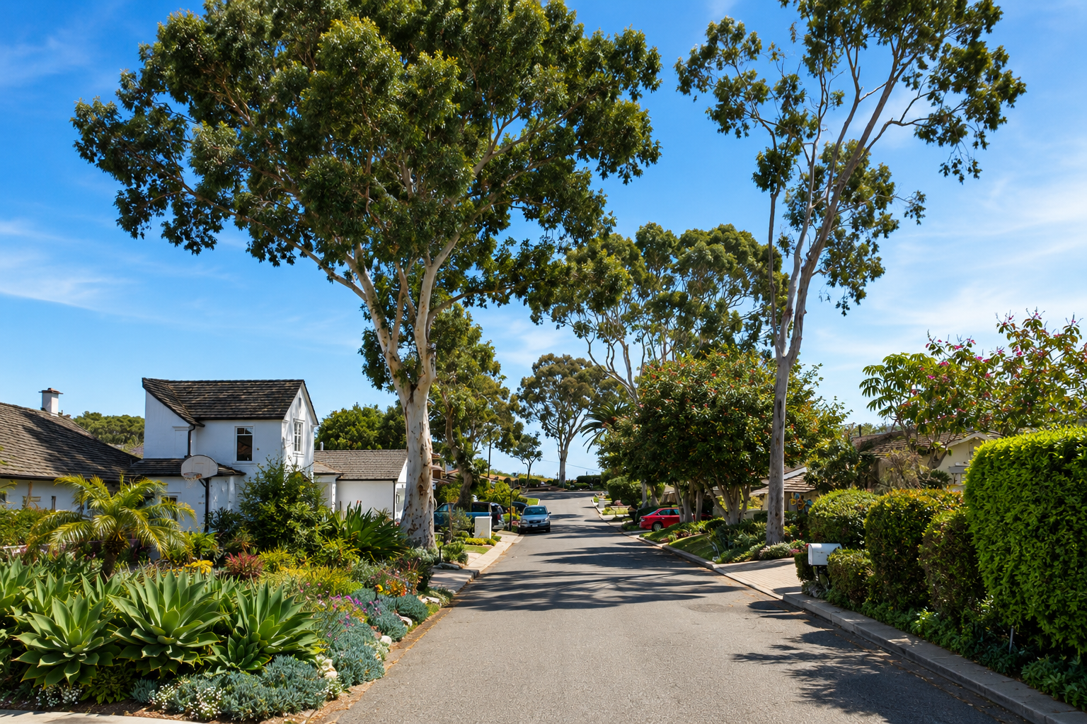 Via Pinzon Real Estate Guide