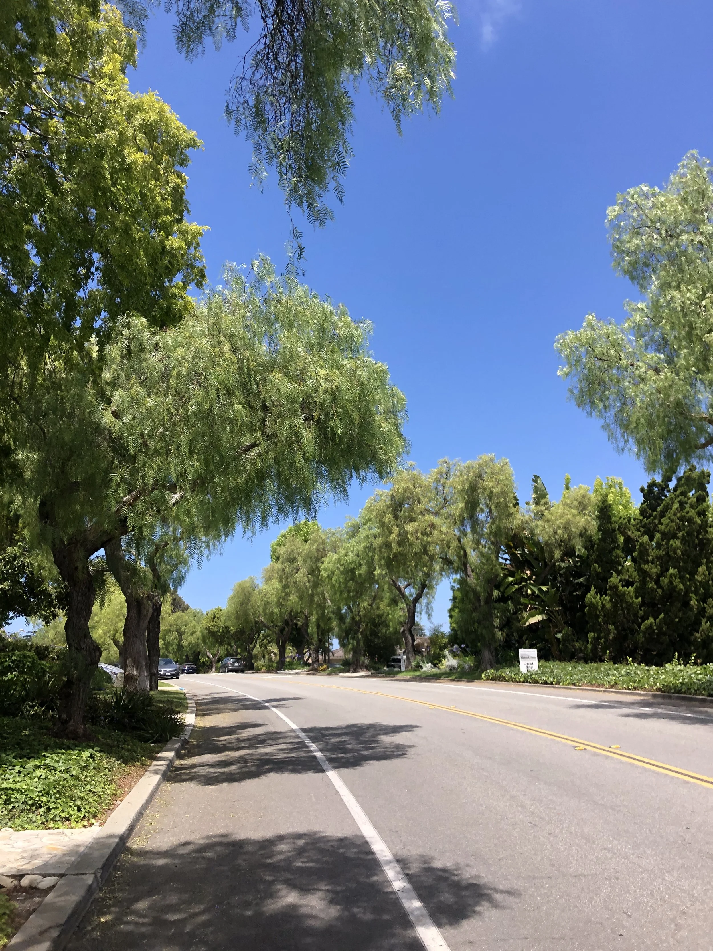 Via Valmonte, Palos Verdes Estates: The Complete Guide to Living, Buying, and Selling on One of Valmonte’s Most Recognizable Streets