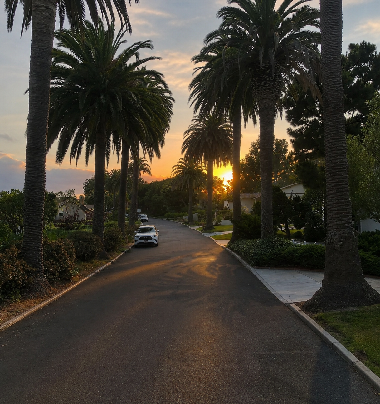 Via Cardelina Real Estate Guide