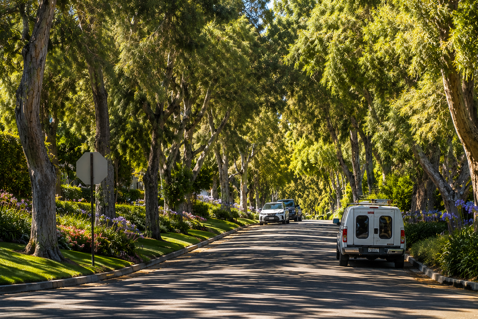 Via Palomino Real Estate Guide: Living on One of Valmonte’s Most Coveted Streets