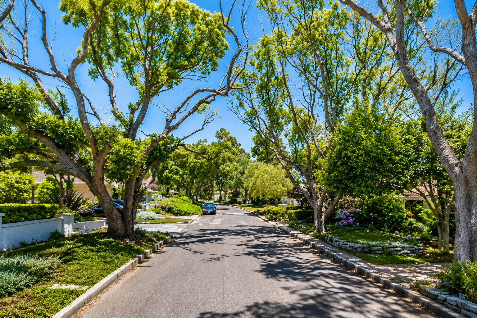 Via Nivel, Valmonte, Palos Verdes Estates: The Complete Street Guide
