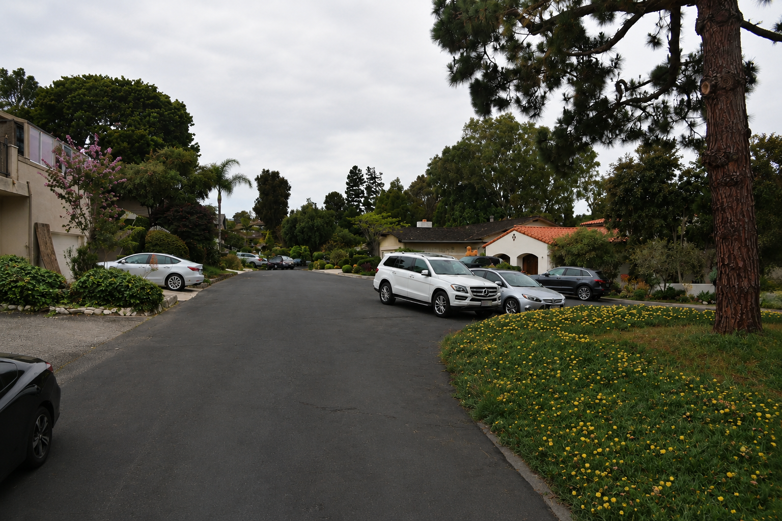 Lucera Circle, Valmonte, Palos Verdes Estates: The Complete Neighborhood &amp; Real Estate Guide