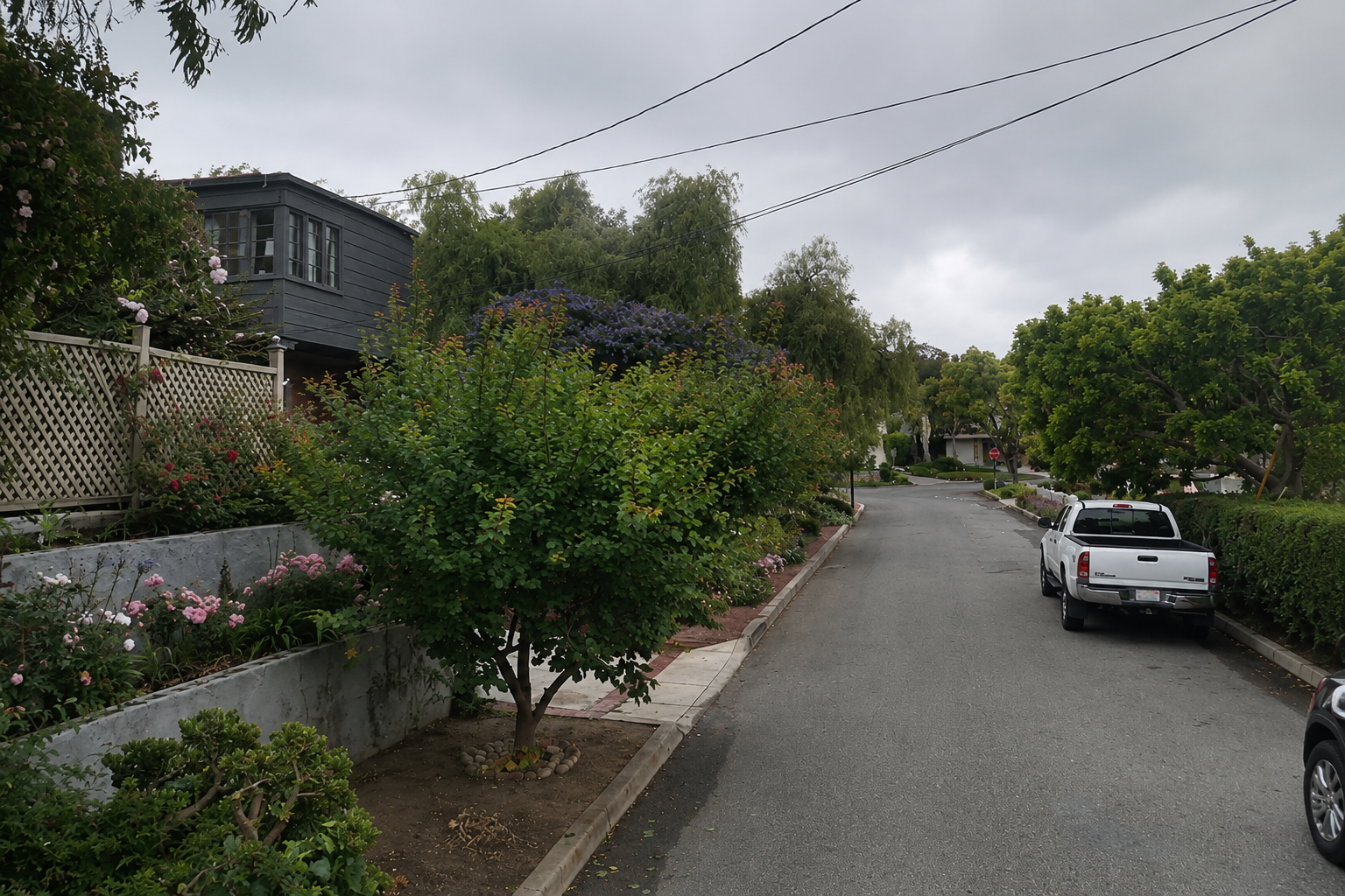 Via Azalea, Palos Verdes Estates: The Complete Valmonte Street Guide