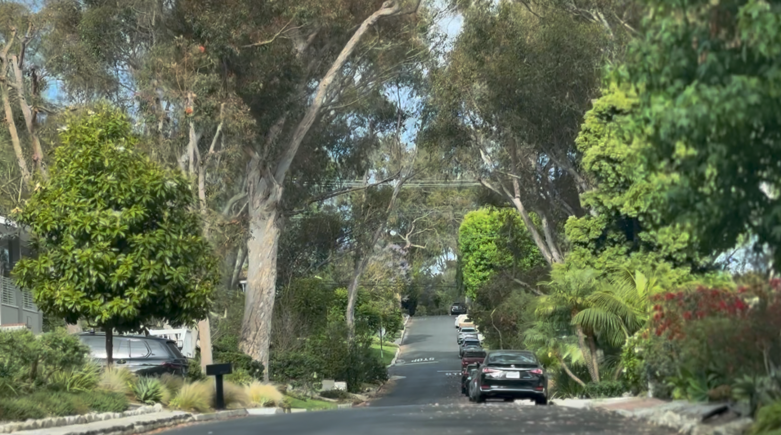 Via Anita Street Guide - The Definitive Guide to Via Anita in Valmonte, Palos Verdes Estates