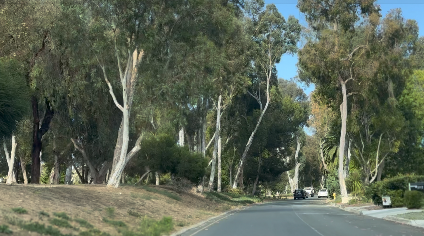 Palos Verdes Drive North Real Estate Guide
