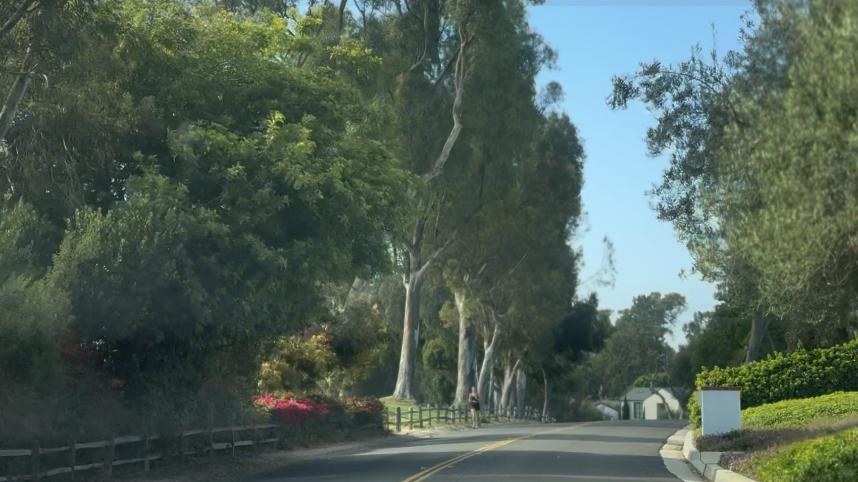 Paseo Del Campo Real Estate Guide