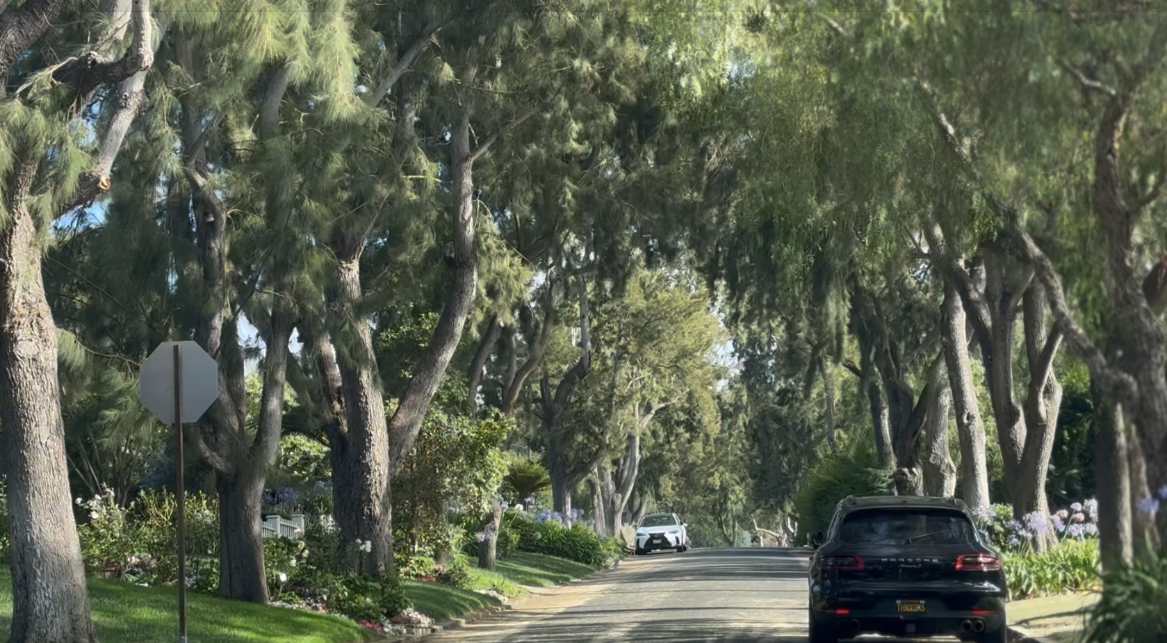 Via Palomino Real Estate Guide: Living on One of Valmonte’s Most Coveted Streets