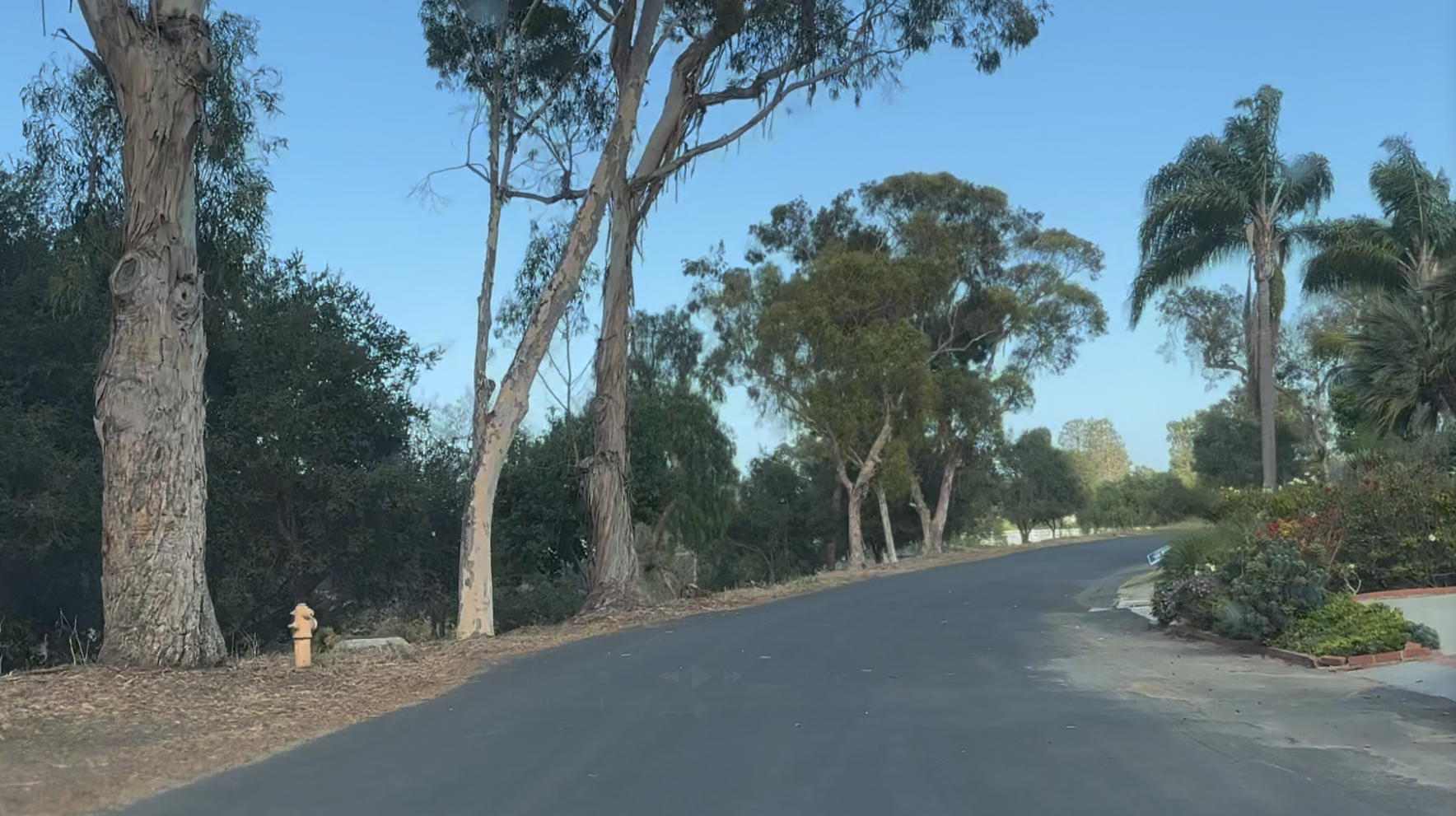 Via Opata, Valmonte, Palos Verdes Estates: The Complete Real Estate &amp; Lifestyle Guide