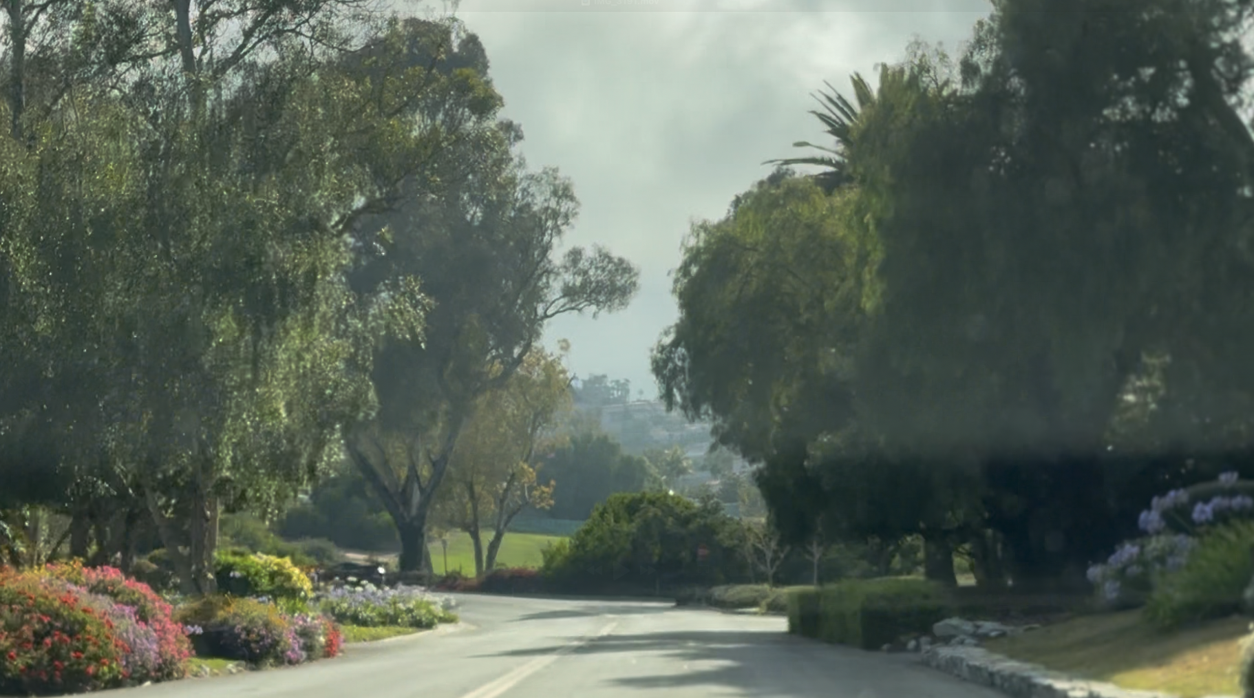 Via Campesina Palos Verdes Estates: Real Estate, Views &amp; Lifestyle Guide