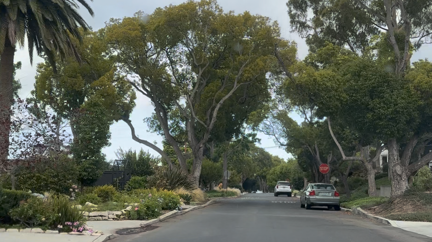 Via Nivel, Valmonte, Palos Verdes Estates: The Complete Street Guide
