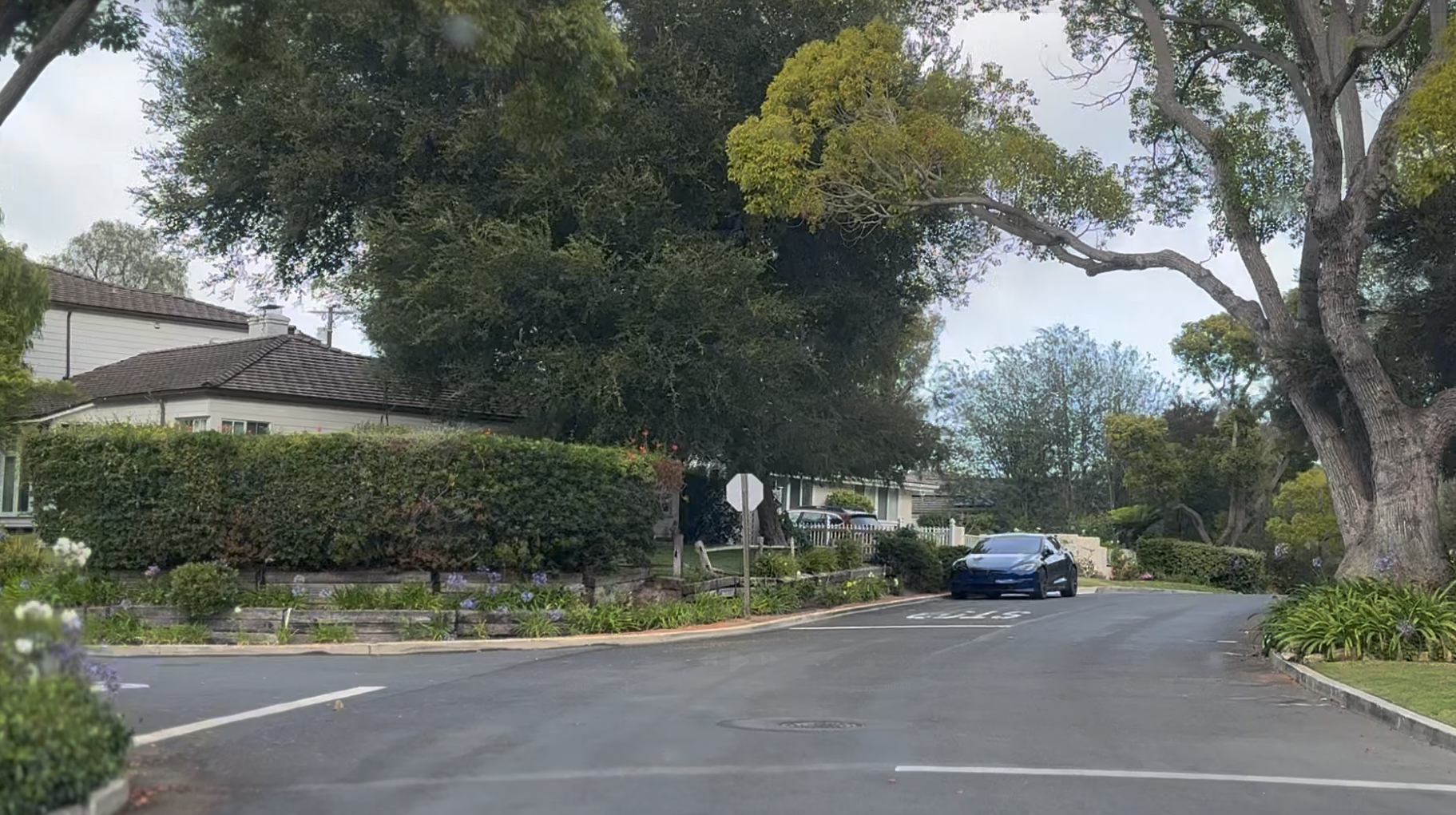 Via Azalea, Palos Verdes Estates: The Complete Valmonte Street Guide