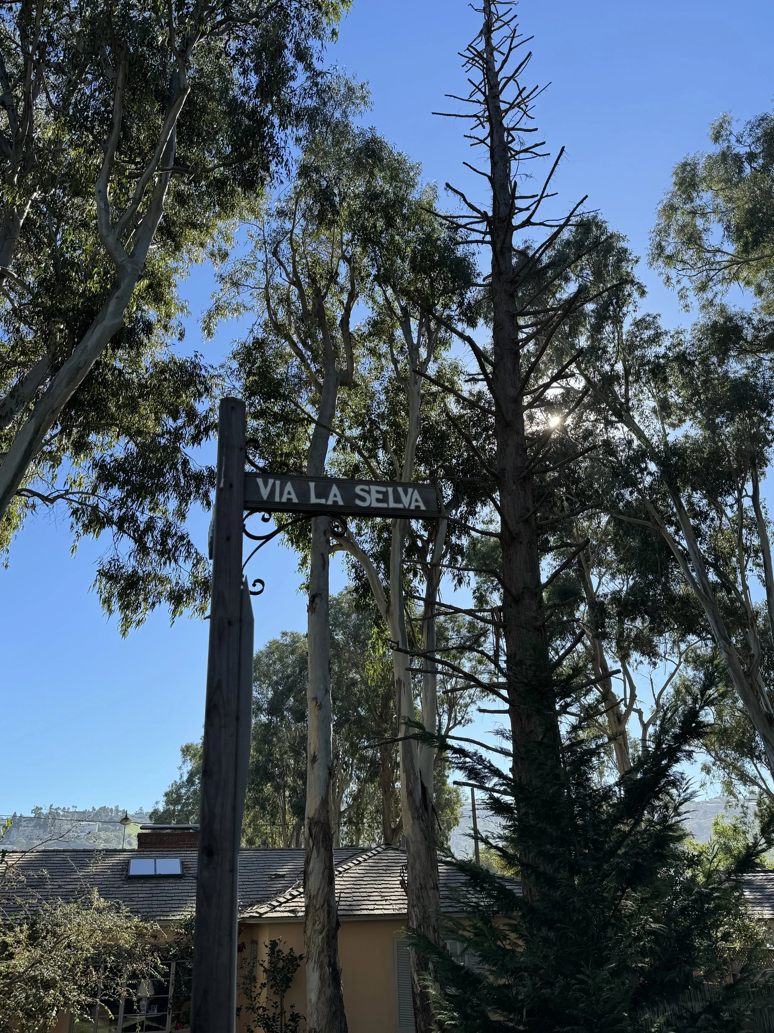 Via La Selva, Valmonte, Palos Verdes Estates: The Complete Street Guide