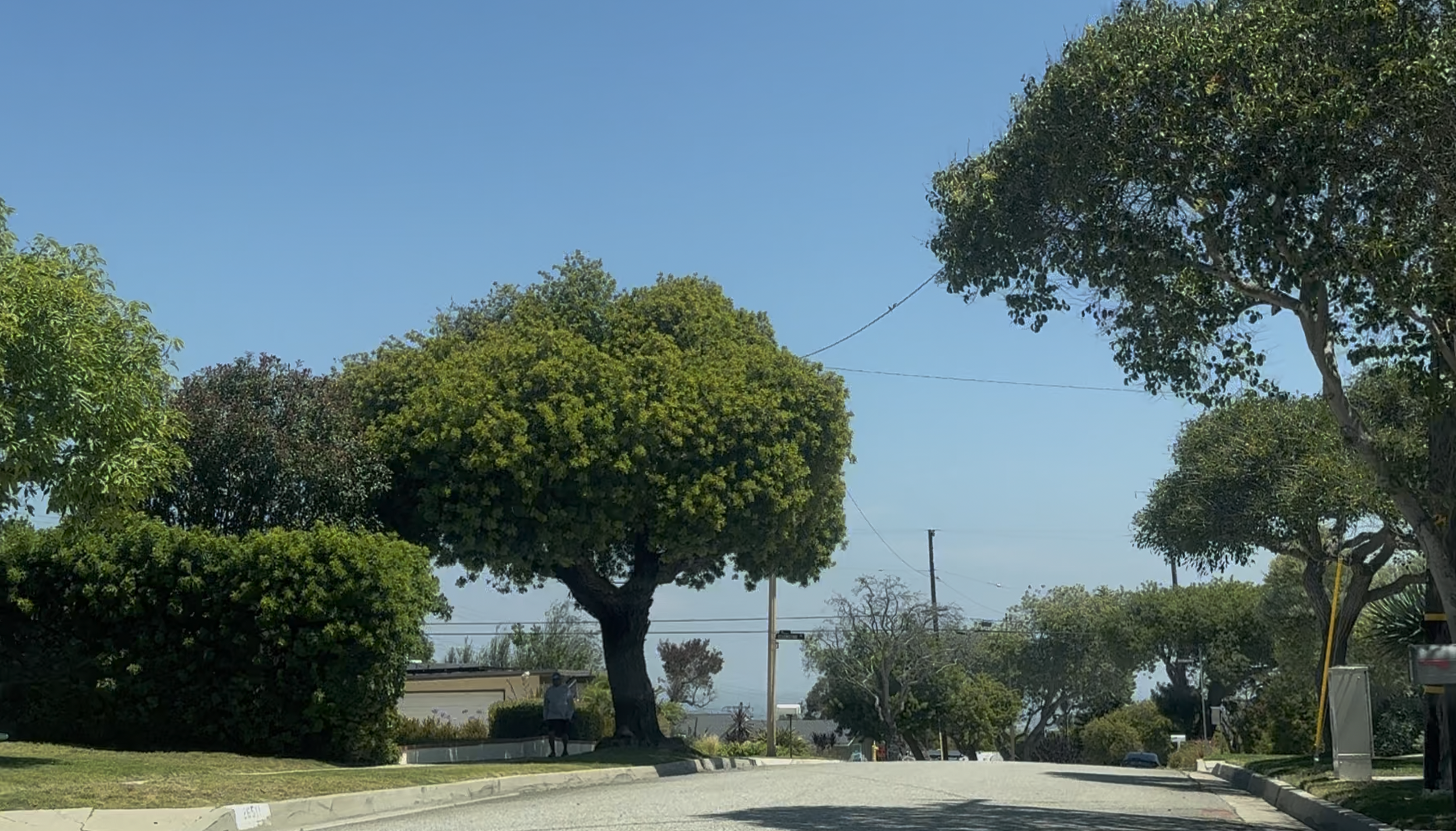 Rollingwood Drive, Rolling Hills Estates CA | Living, Homes &amp; Real Estate Guide
