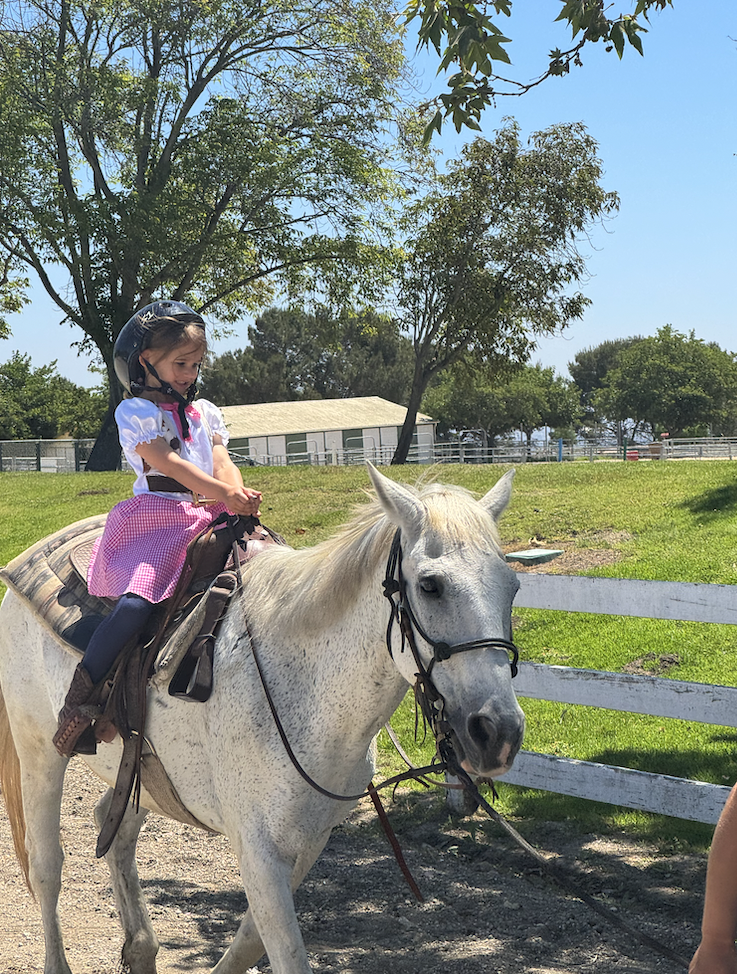 Ernie Howlett Park Guide | Rolling Hills Estates Family Park, Trails, Tennis &amp; Pickleball