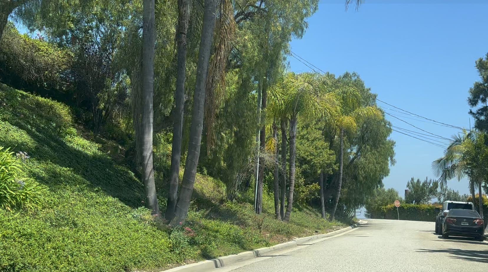 Via De La Vista Rancho Palos Verdes Street Guide