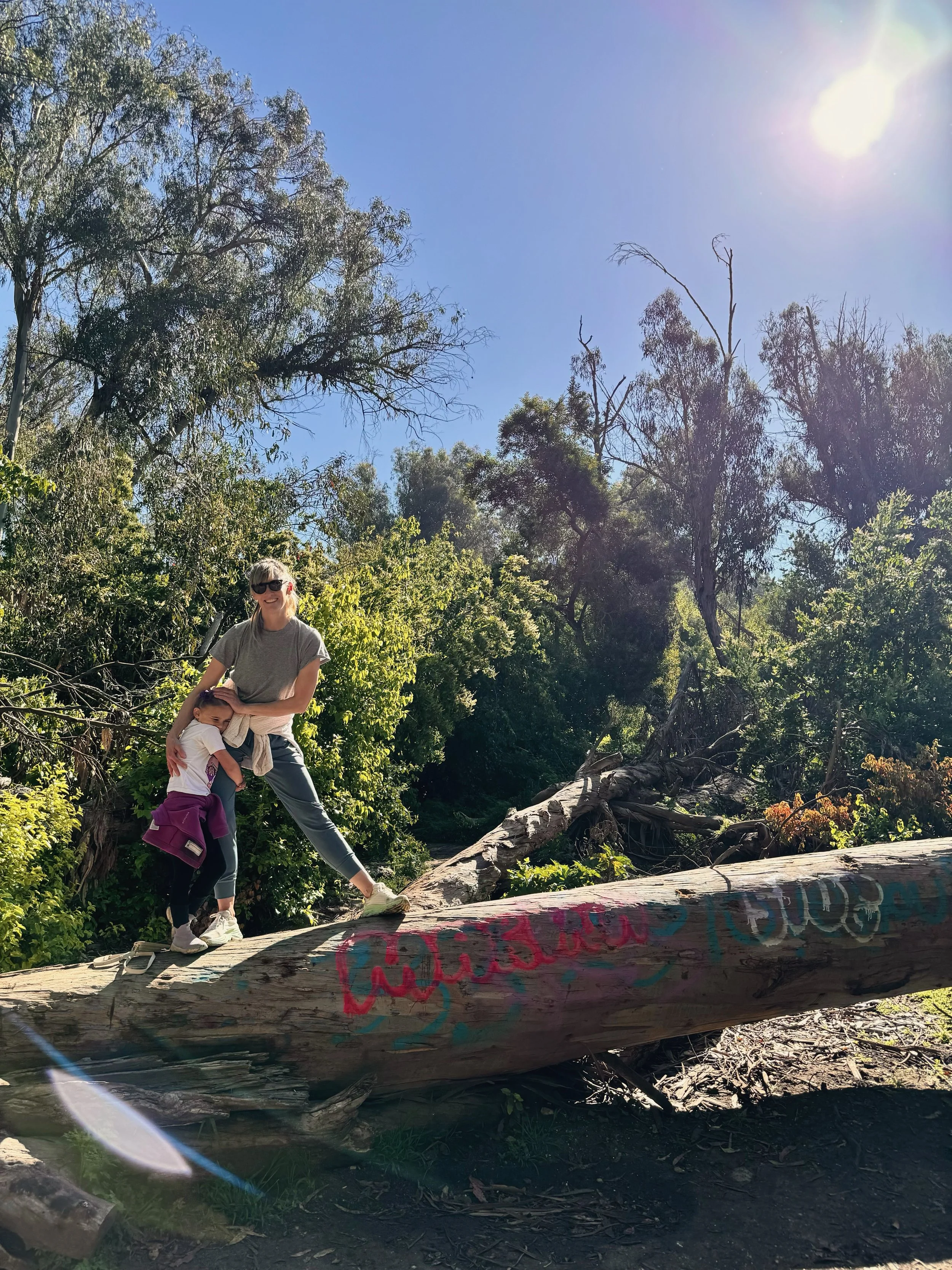 Frog Creek Palos Verdes Estates Guide: Hidden Nature Trail Near Malaga Cove