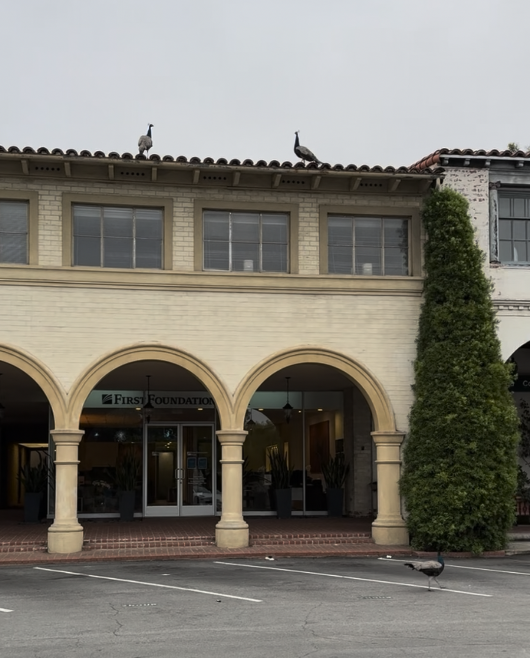 Malaga Cove Plaza Guide | Shops, Dining, History &amp; Lifestyle in Palos Verdes Estates