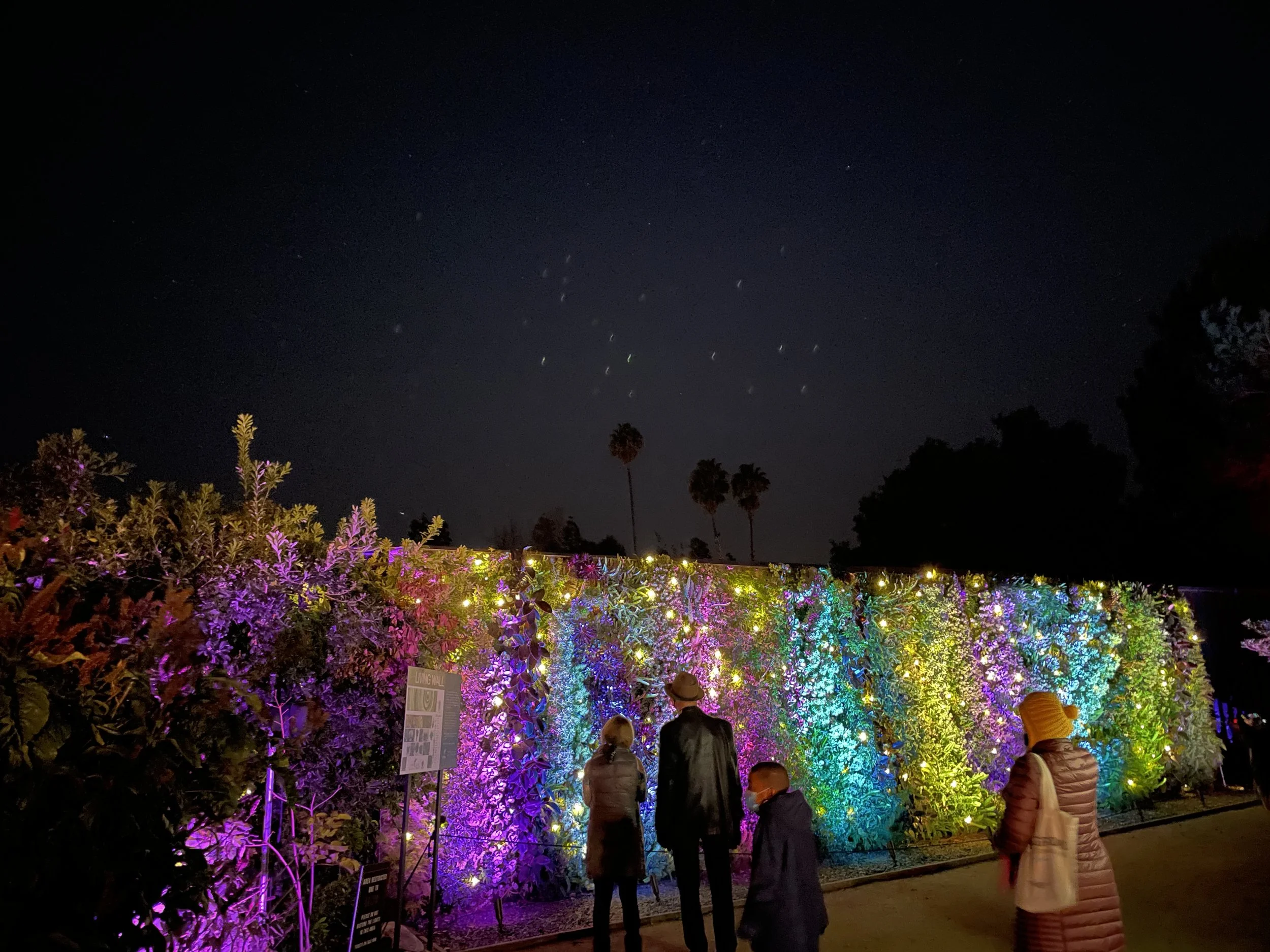 South Coast Botanic Garden Guide | Rolling Hills Estates Local Lifestyle