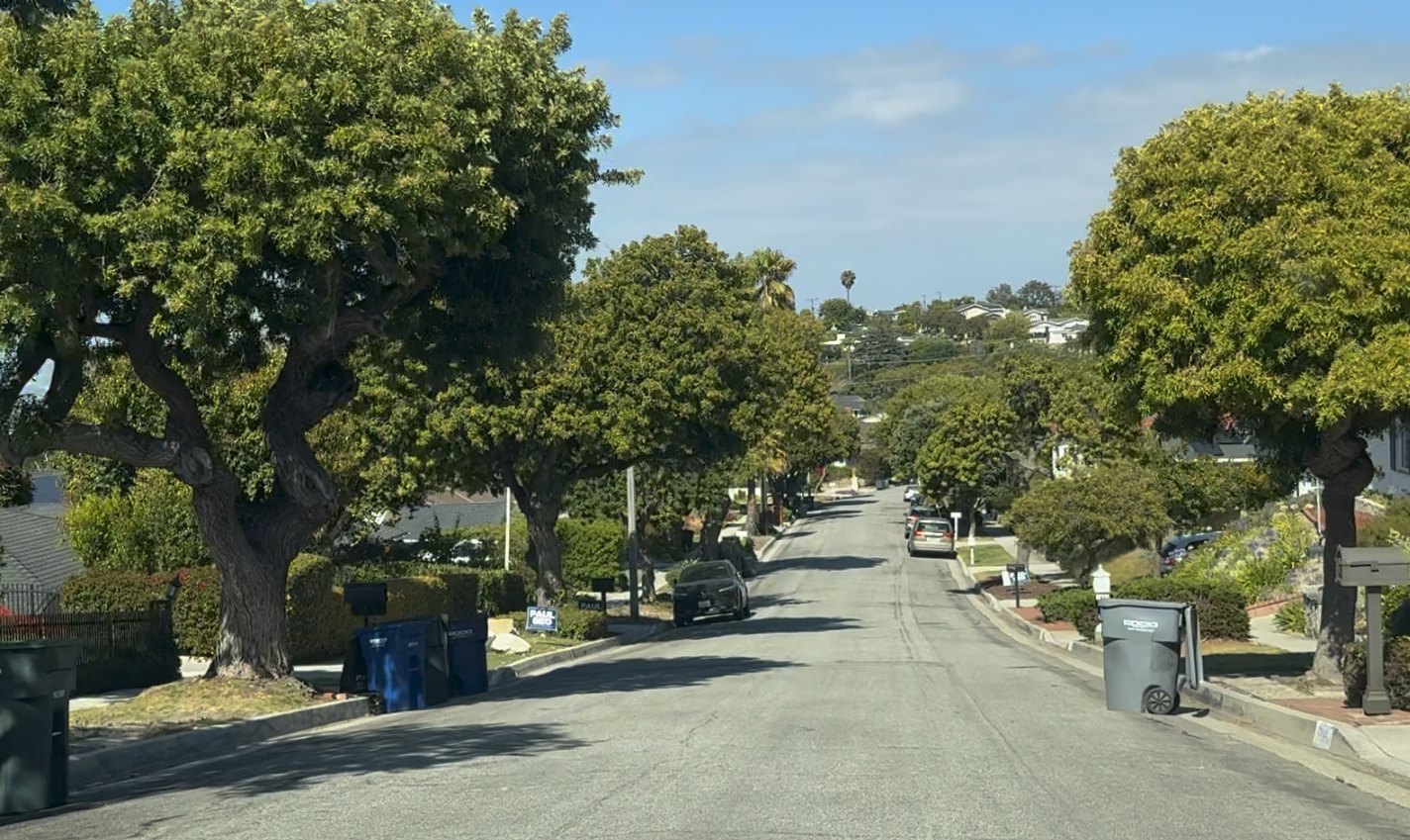 Whitefox Drive Rancho Palos Verdes: Silver Spur Street Guide