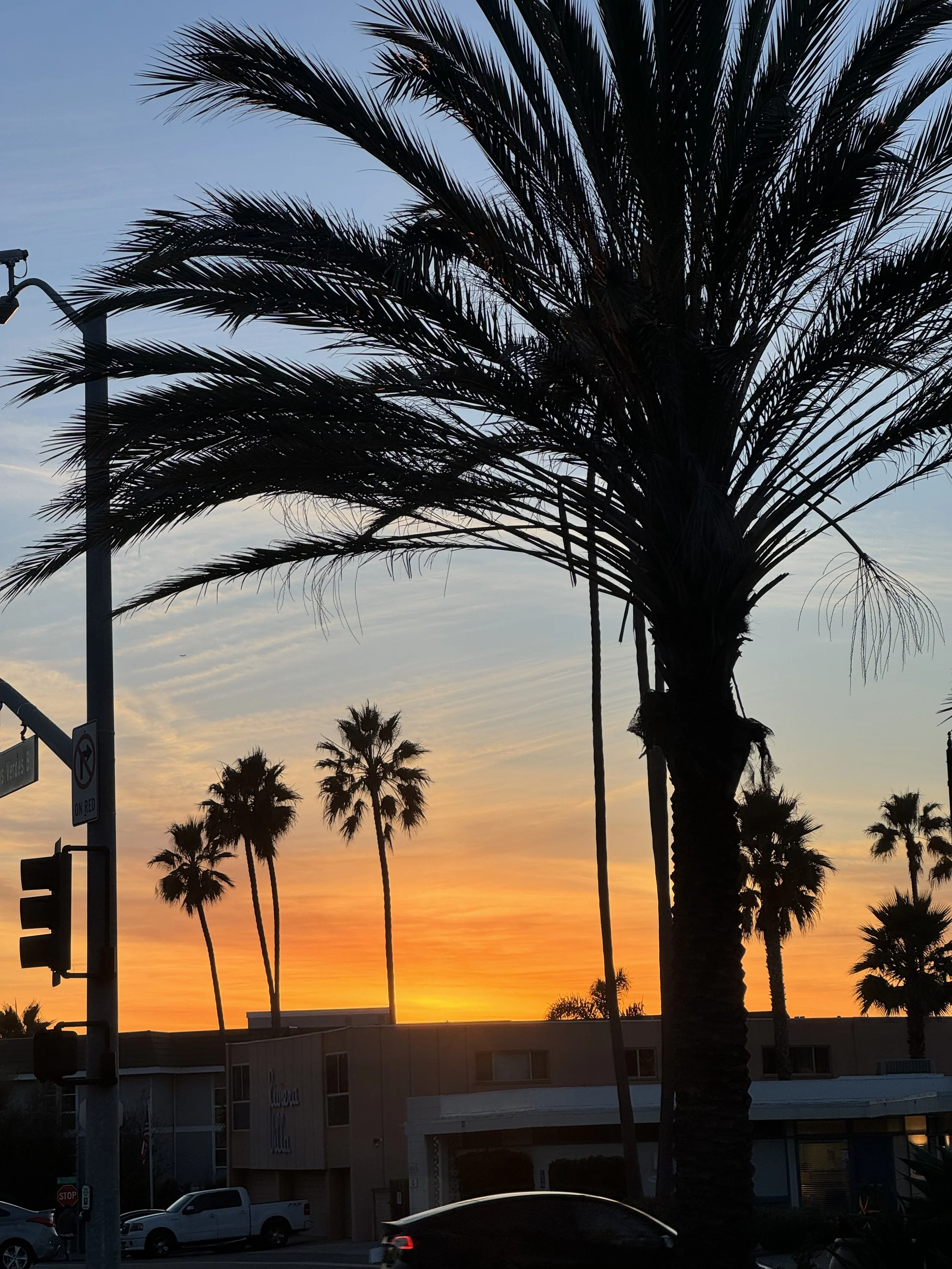 Via Monte Doro Hollywood Riviera Street Guide | Homes, Lifestyle &amp; Real Estate