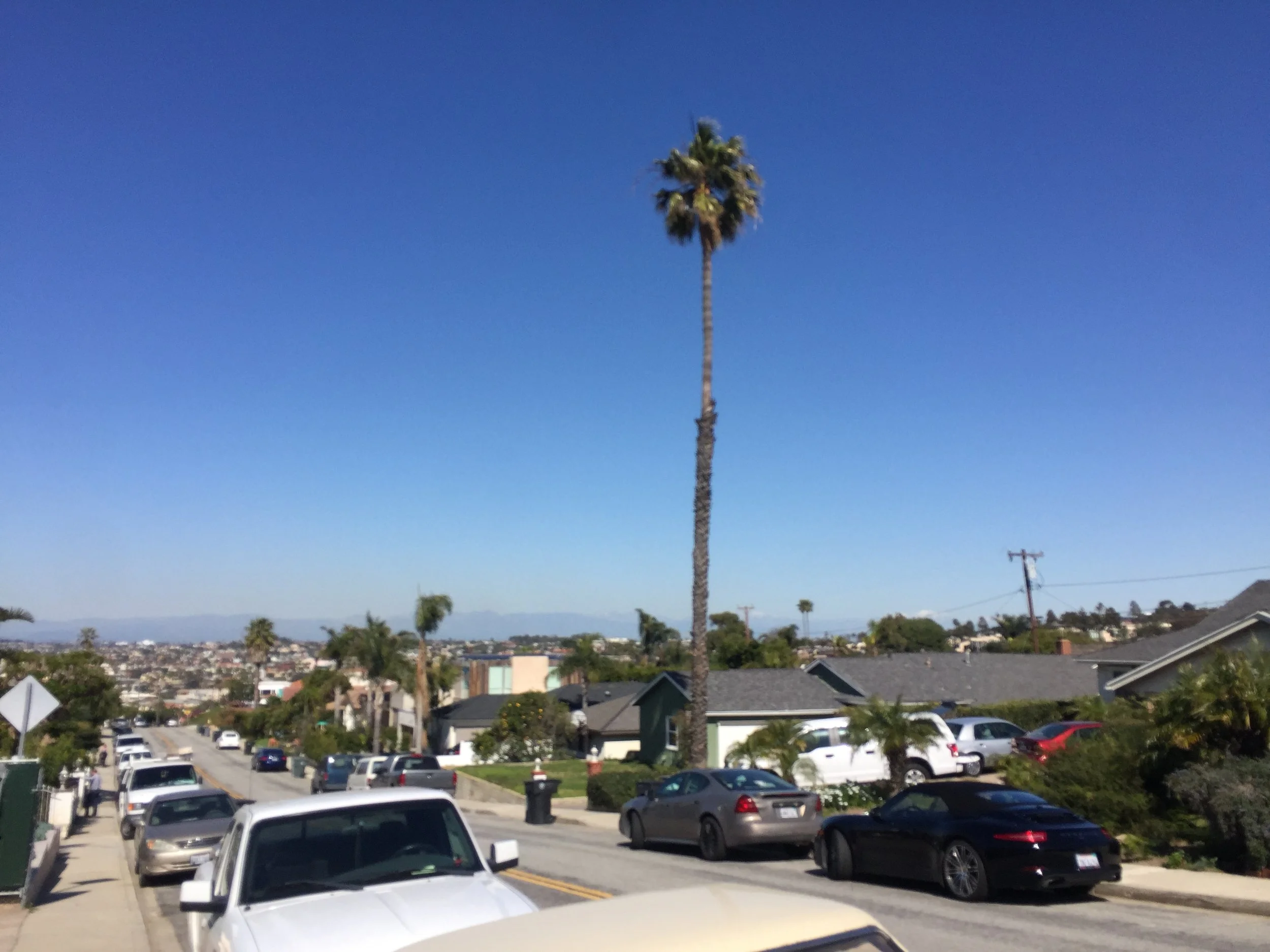 Paseo De La Playa Street Guide: Homes, Views &amp; Living in Hollywood Riviera