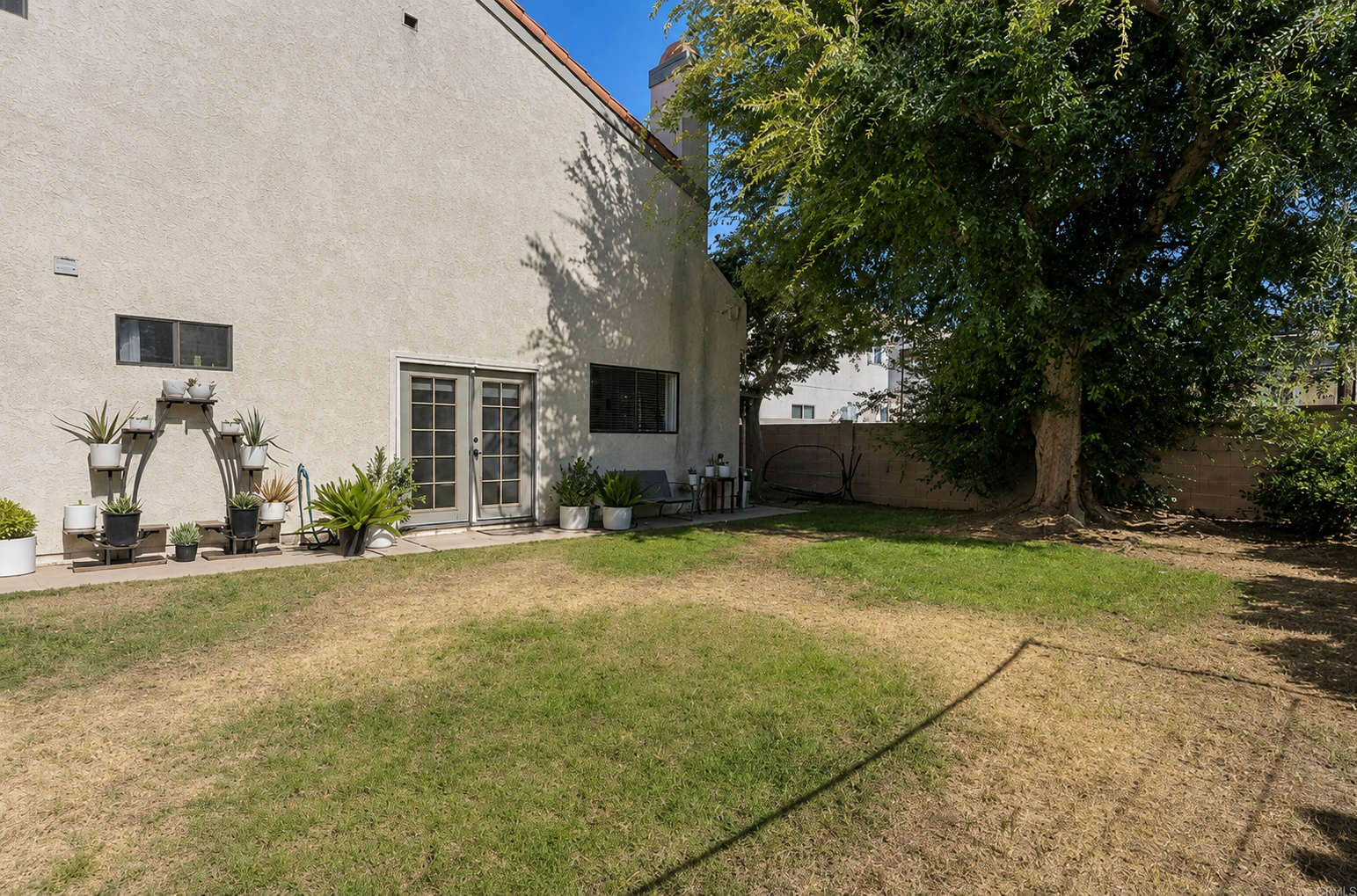 Backyard1.jpg
