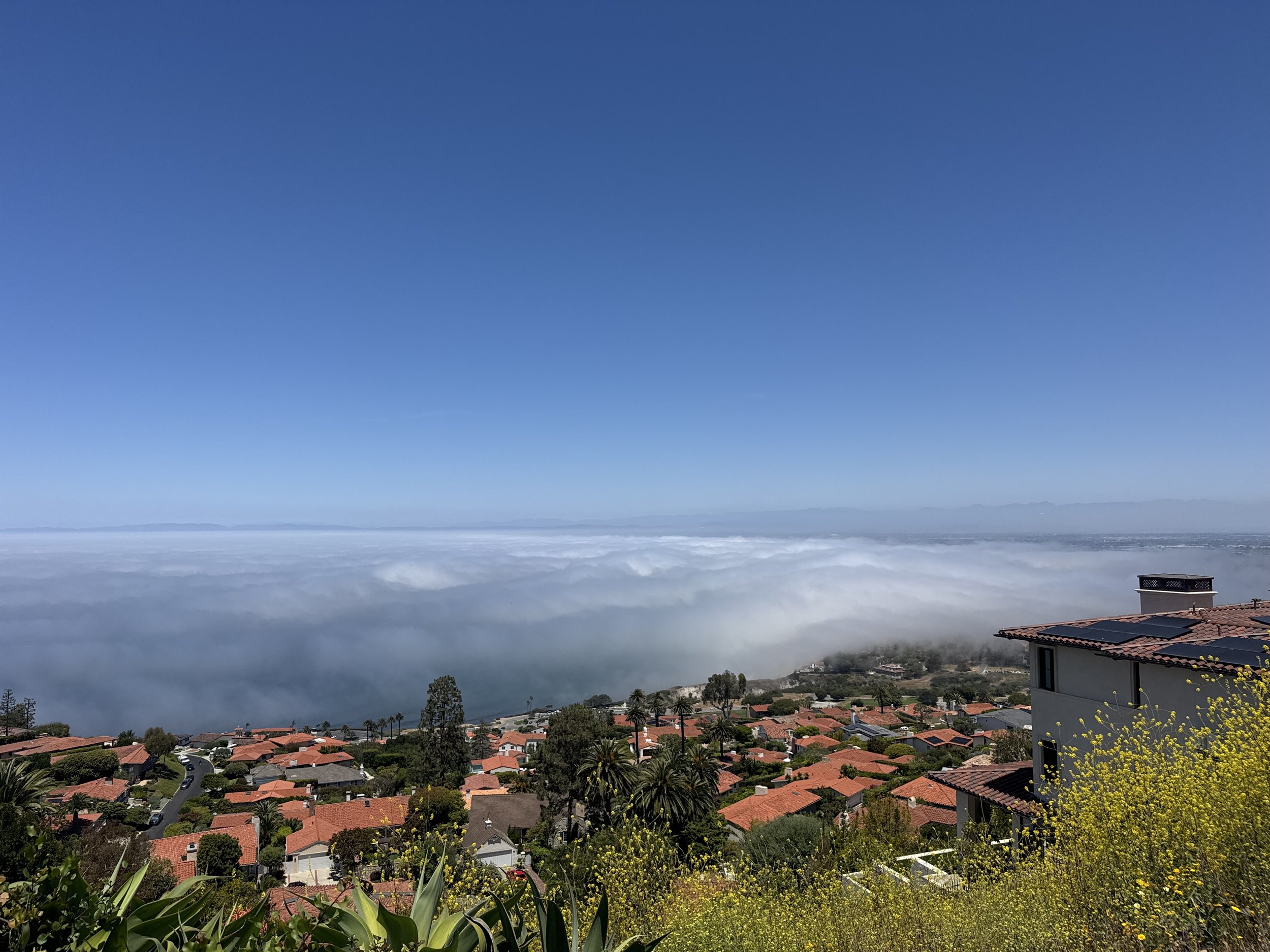 Palos Verdes Estates vs. Rancho Palos Verdes: Which Is Right for You?