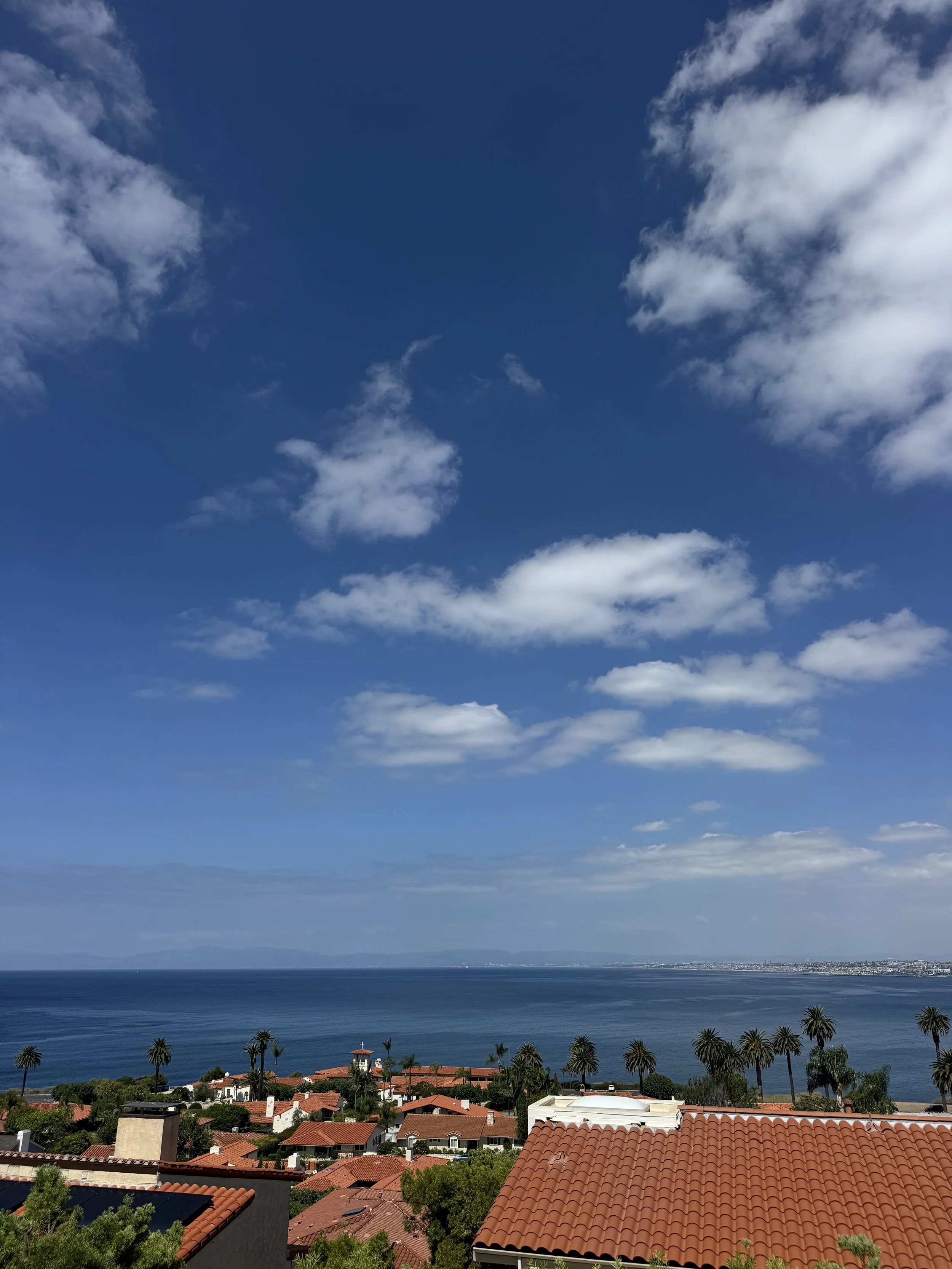 IMG_4592.jpeg