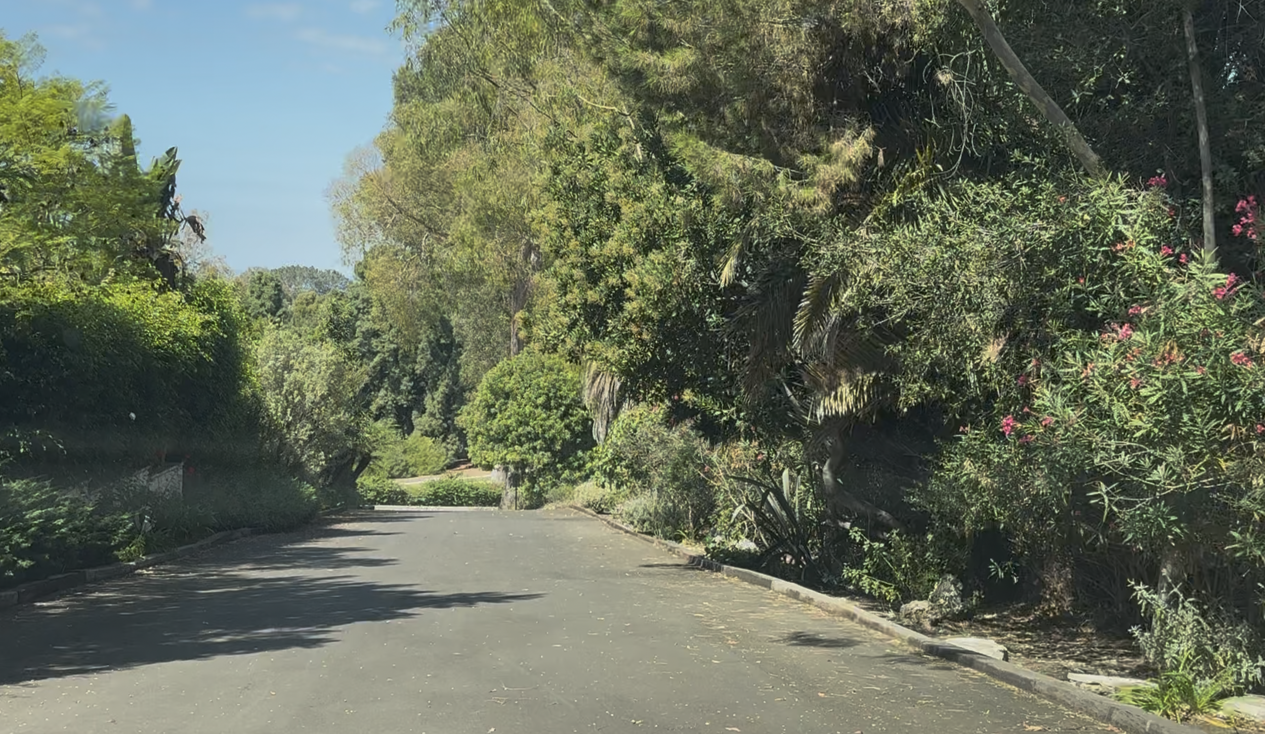 Rolling Ridge Road Real Estate Guide | Malaga Cove &amp; Rancho Palos Verdes