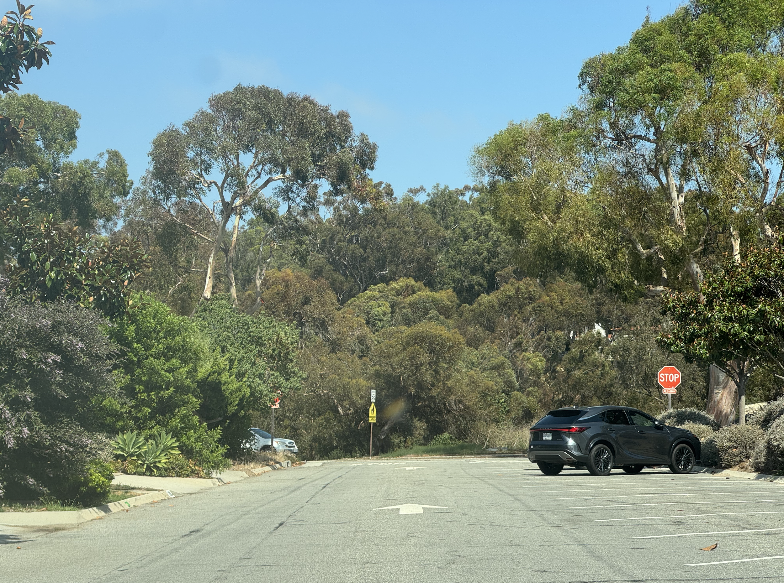 Via Del Puente, Malaga Cove | Street Guide to Living in Palos Verdes Estates