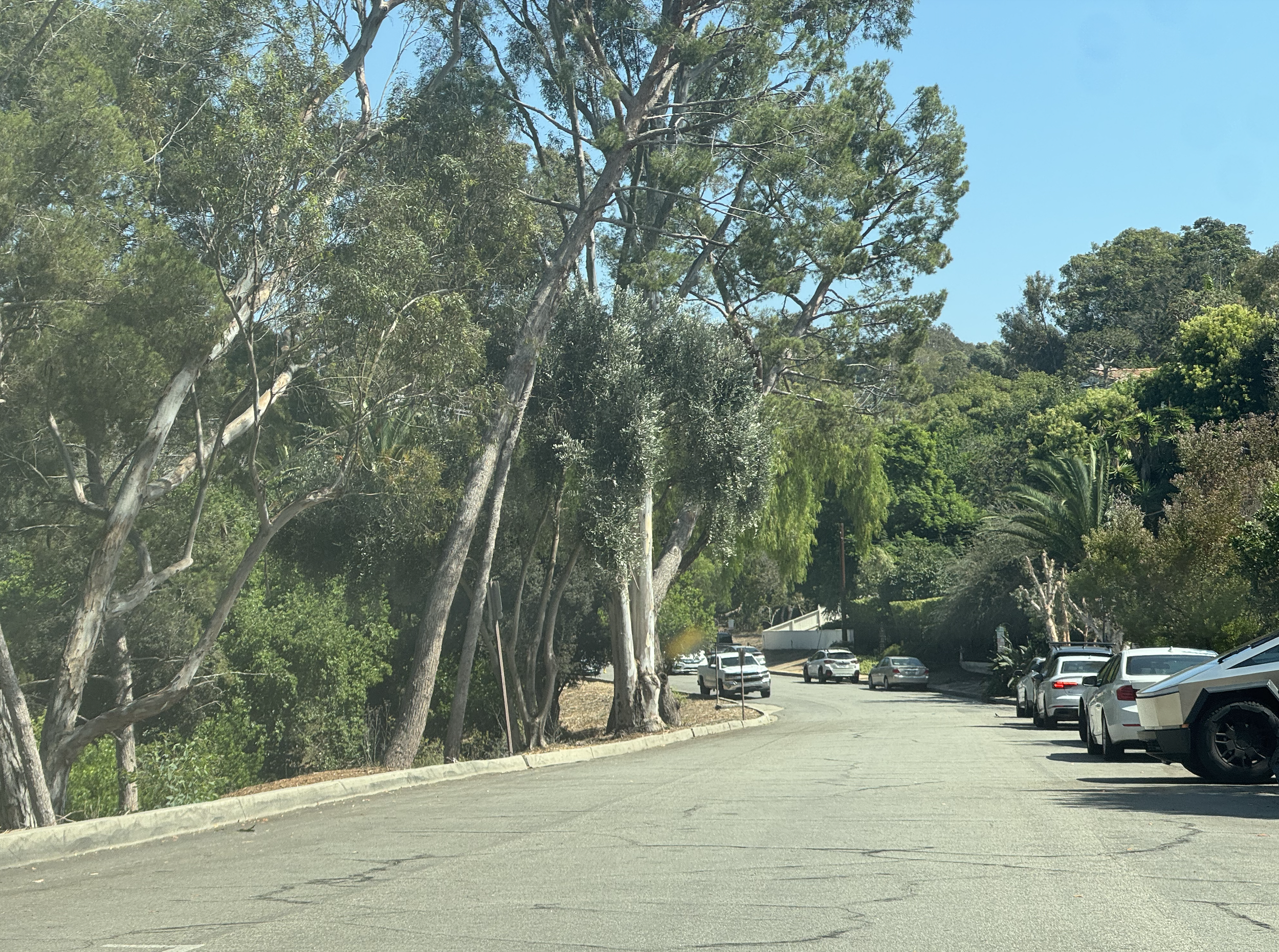 Via Tejon Malaga Cove: Street Guide to Living in Palos Verdes Estates