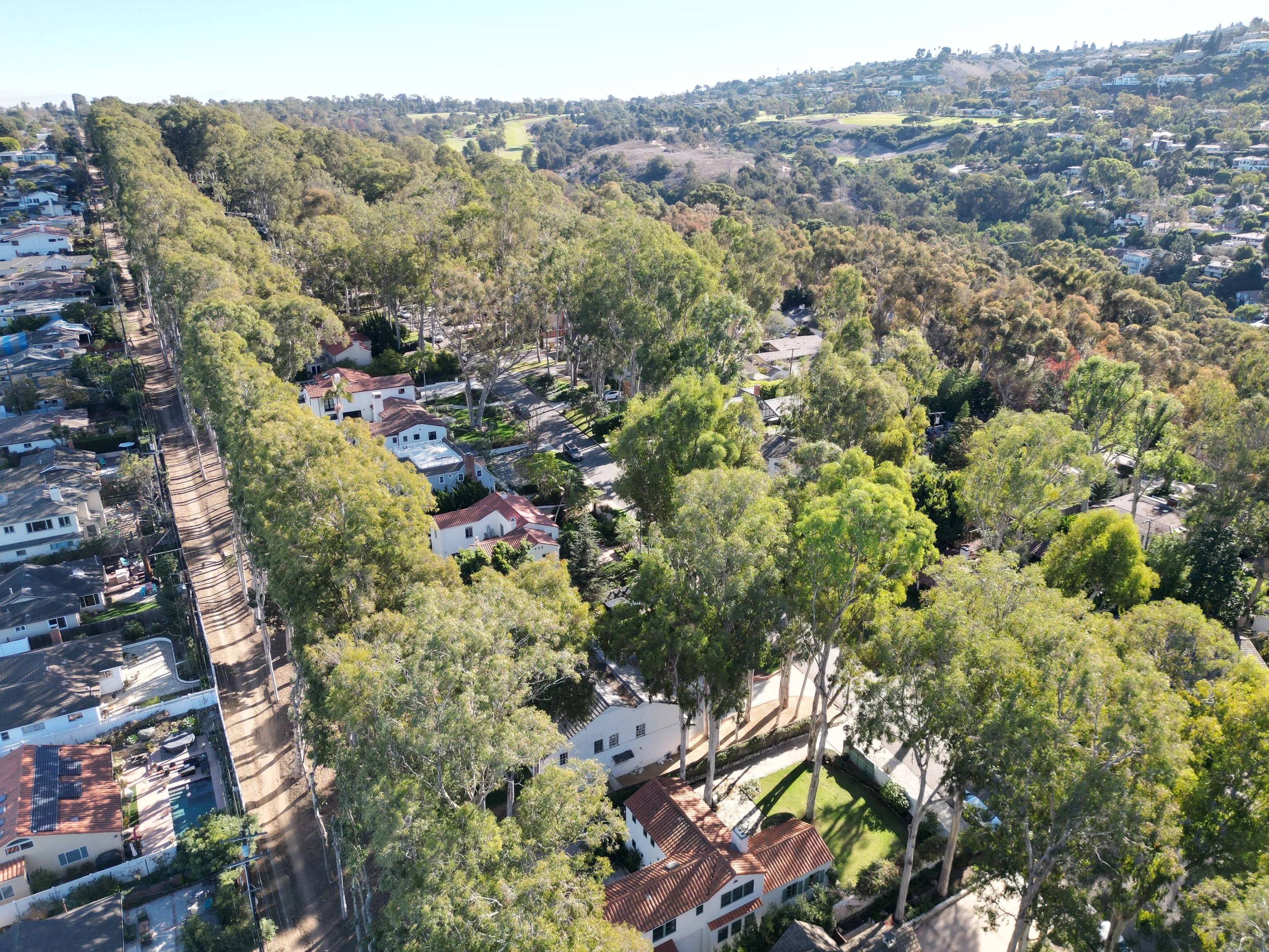 Valmonte vs. Silver Spur: Which Palos Verdes Neighborhood Fits You Best?