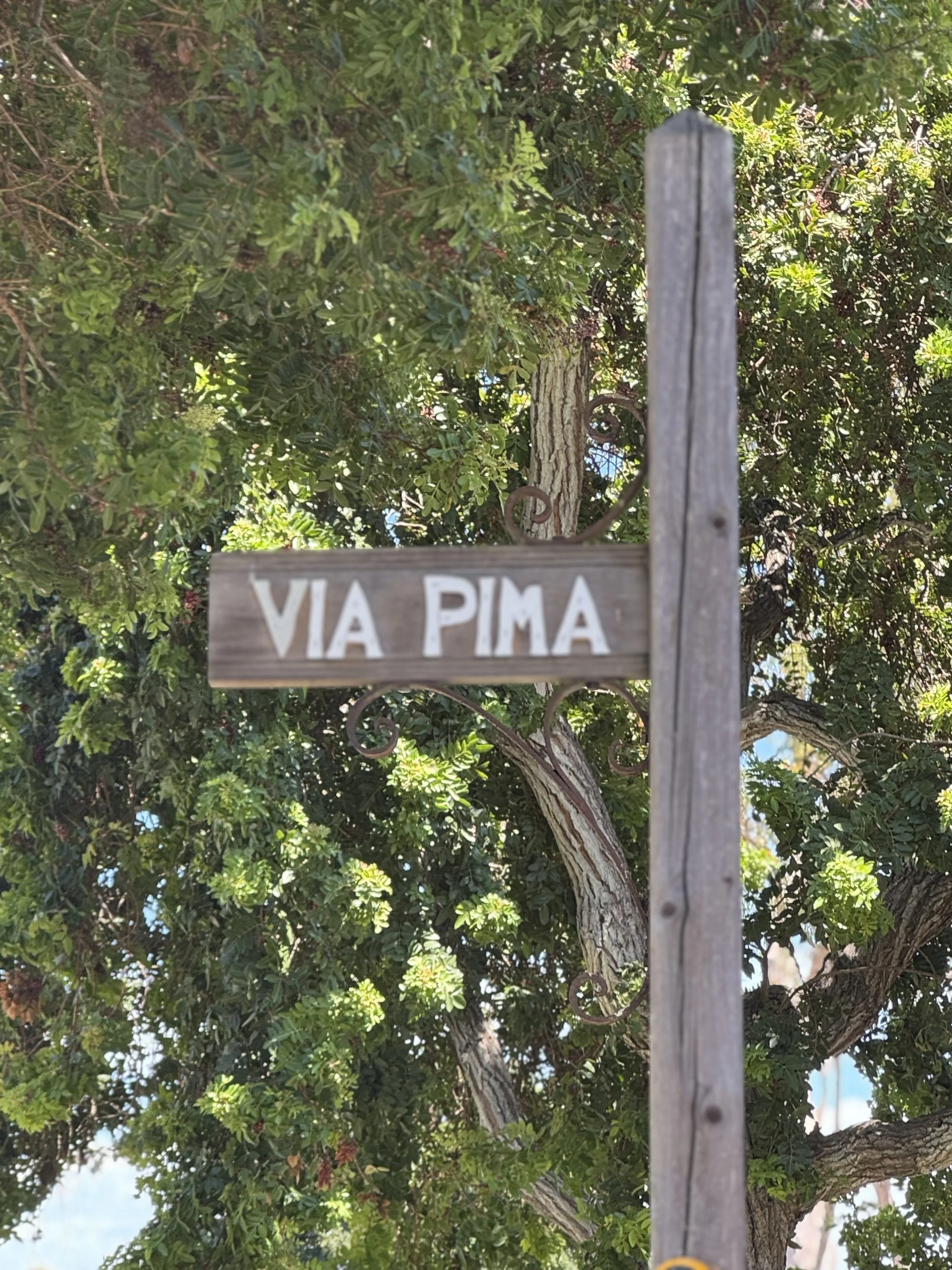 Via Pima in Valmonte Palos Verdes Estates
