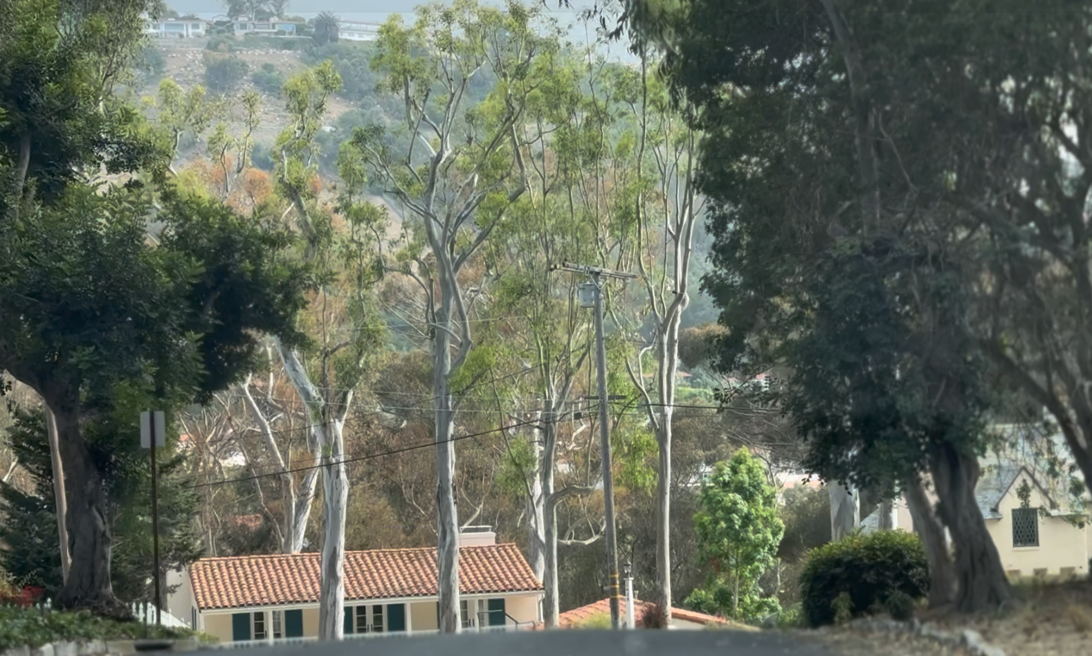 Via Capay in Valmonte Palos Verdes Estates