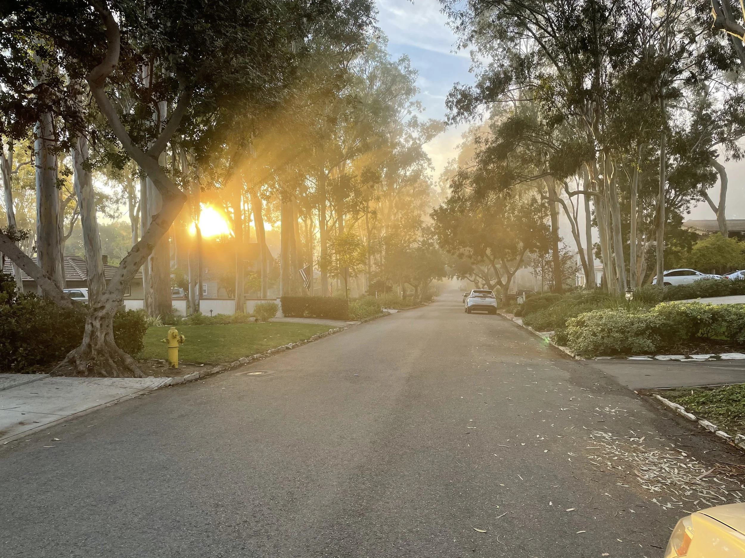 Via La Selva in Valmonte, Palos Verdes Estates