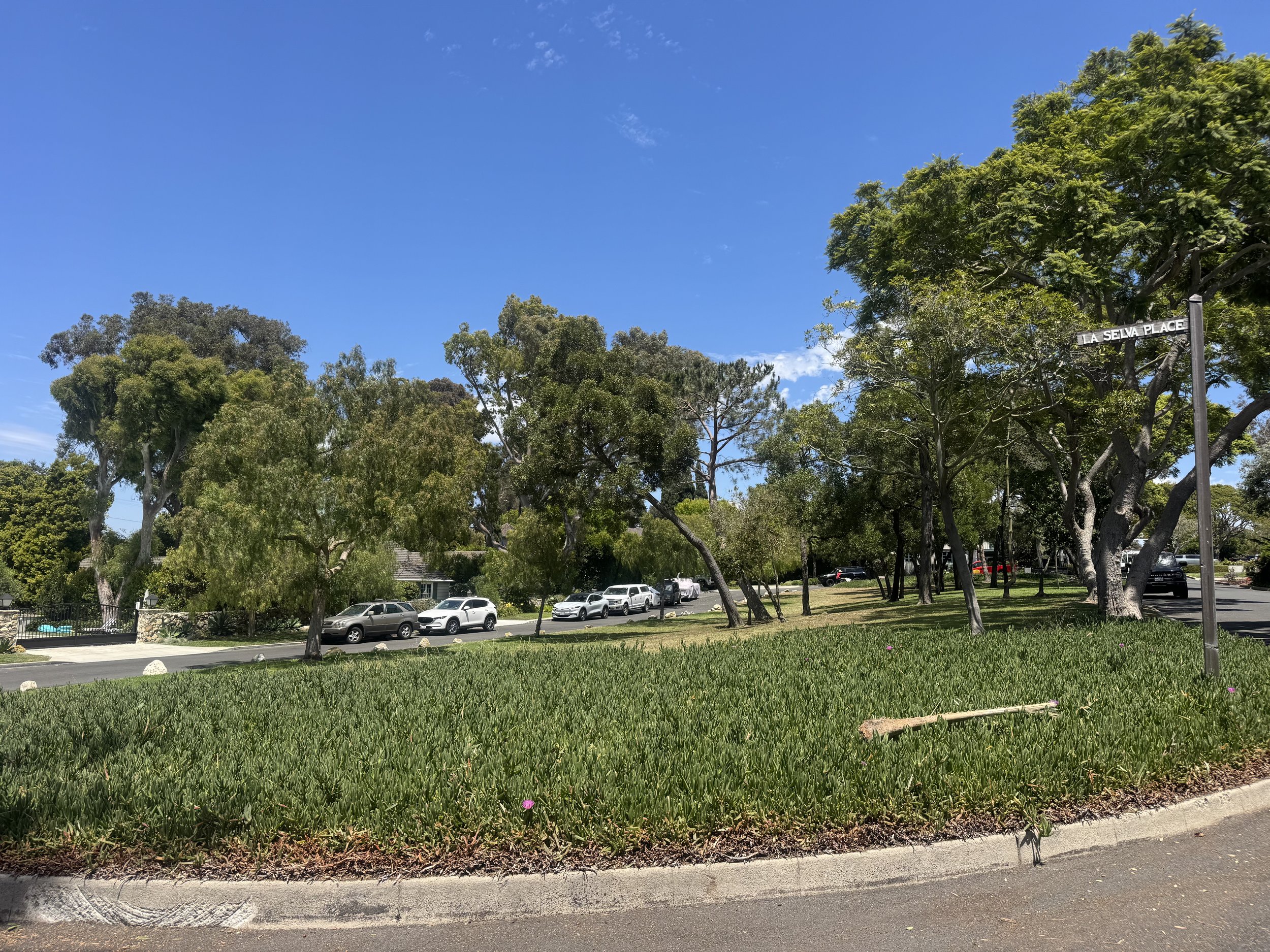 La Selva Place in Valmonte Palos Verdes Estates