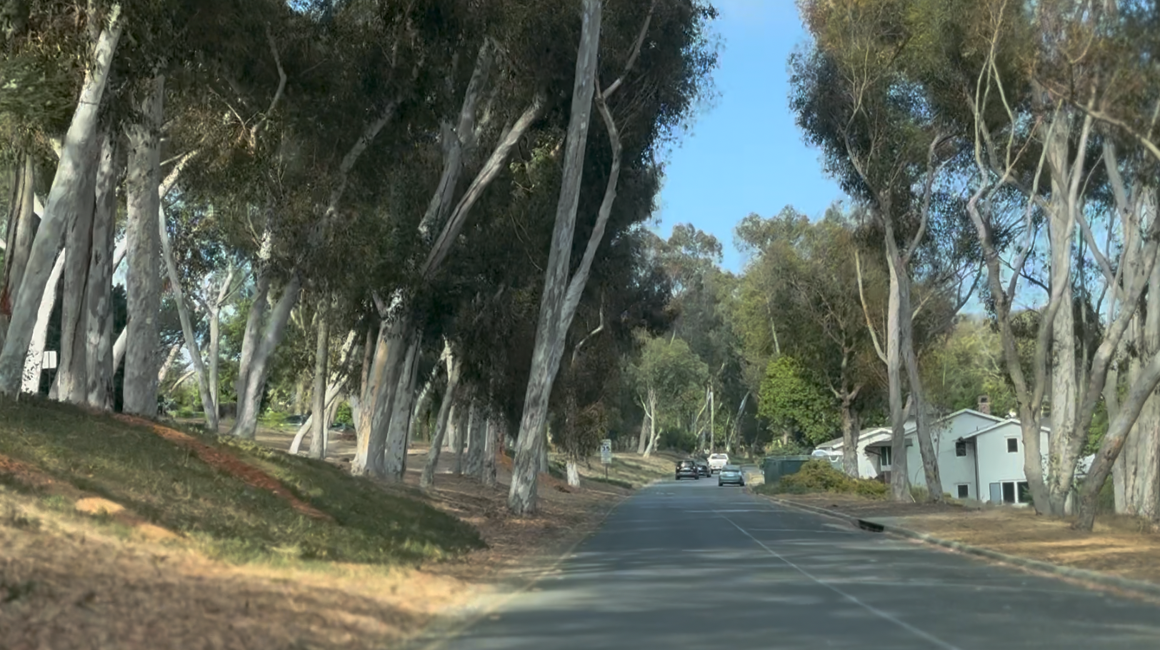 Palos Verdes Drive North in Valmonte, Palos Verdes Estates