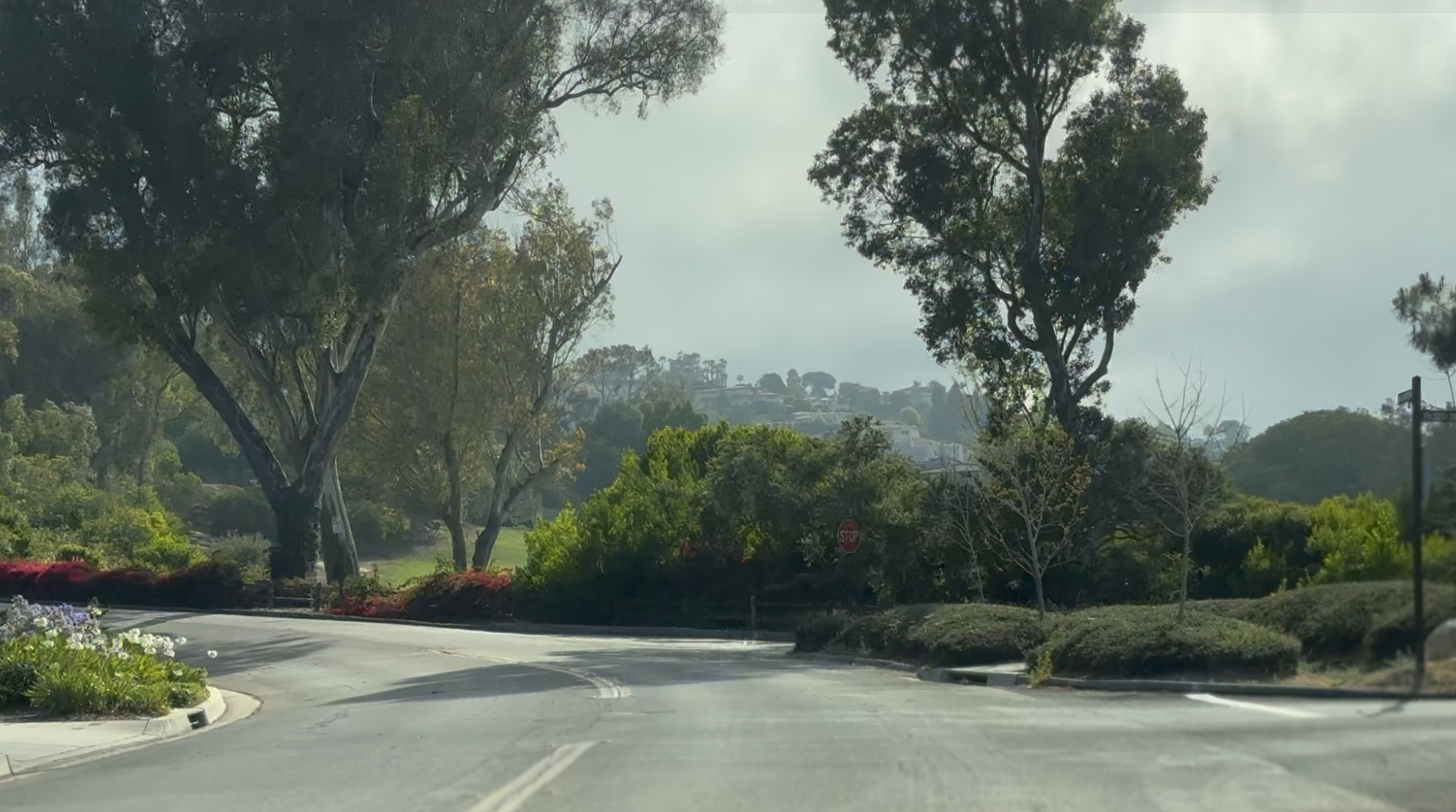 Via Campesina Palos Verdes Estates street and neighborhood setting
