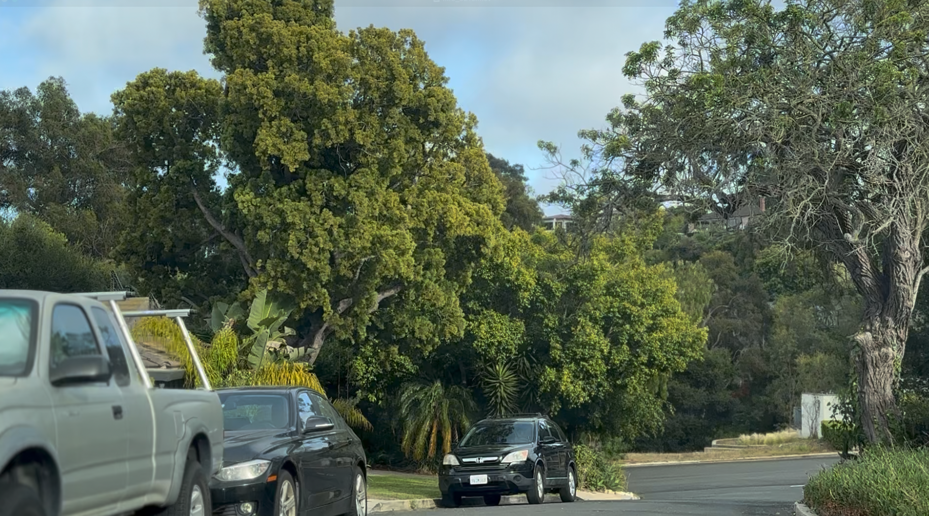 Hillside setting near Via Azalea in East Valmonte